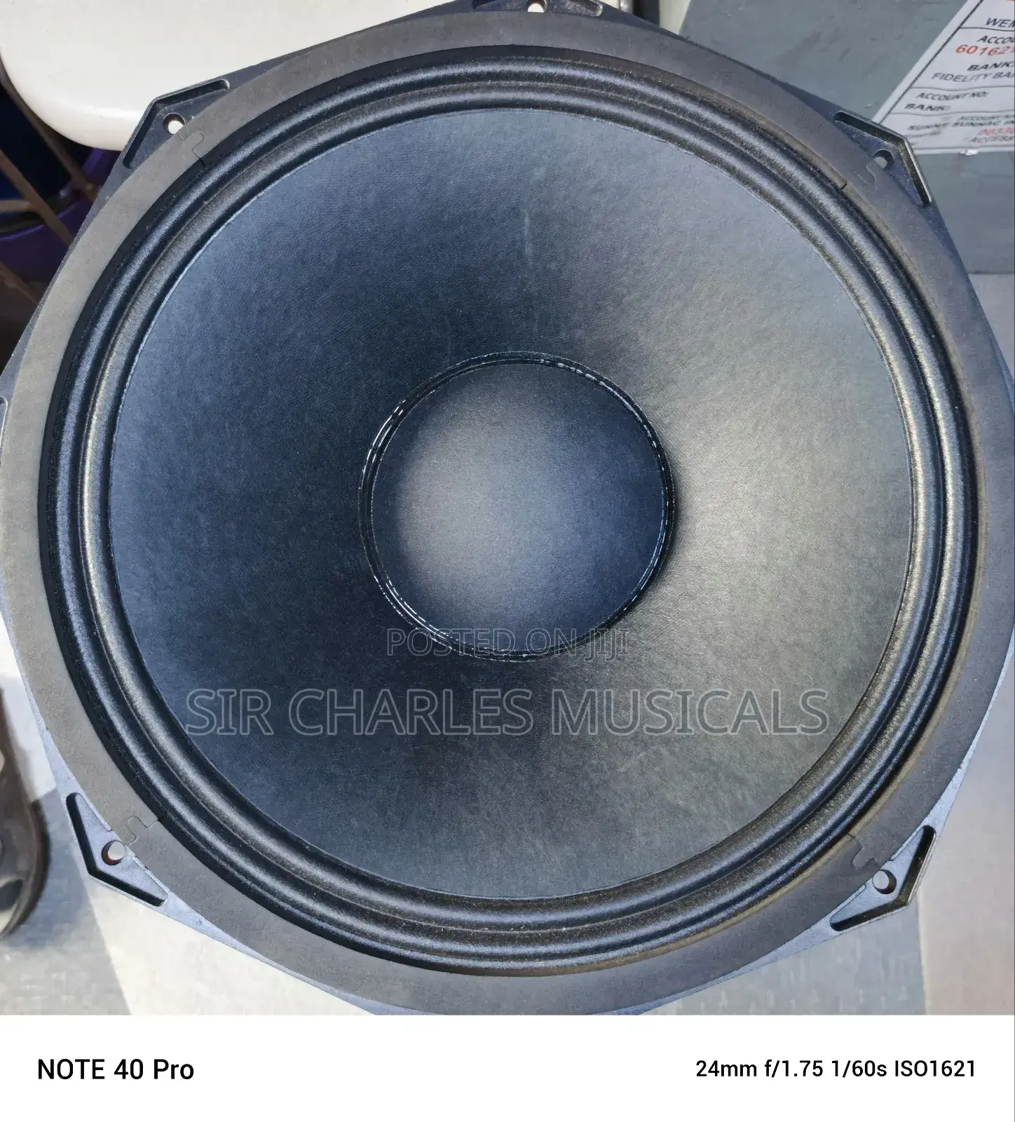 Original 18 Inches Professio Glorik Naked Speaker Big Magnet