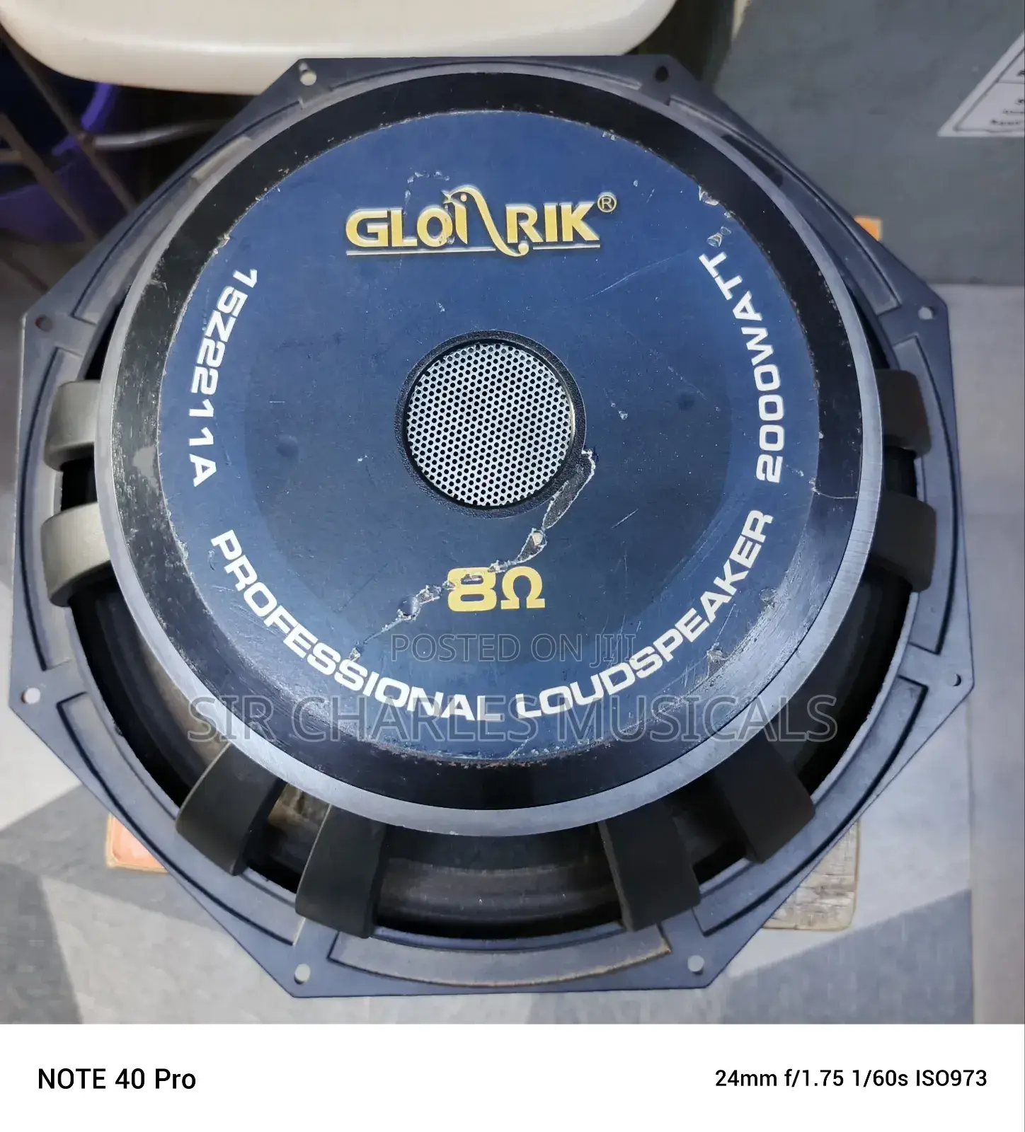 Original 18 Inches Professio Glorik Naked Speaker Big Magnet