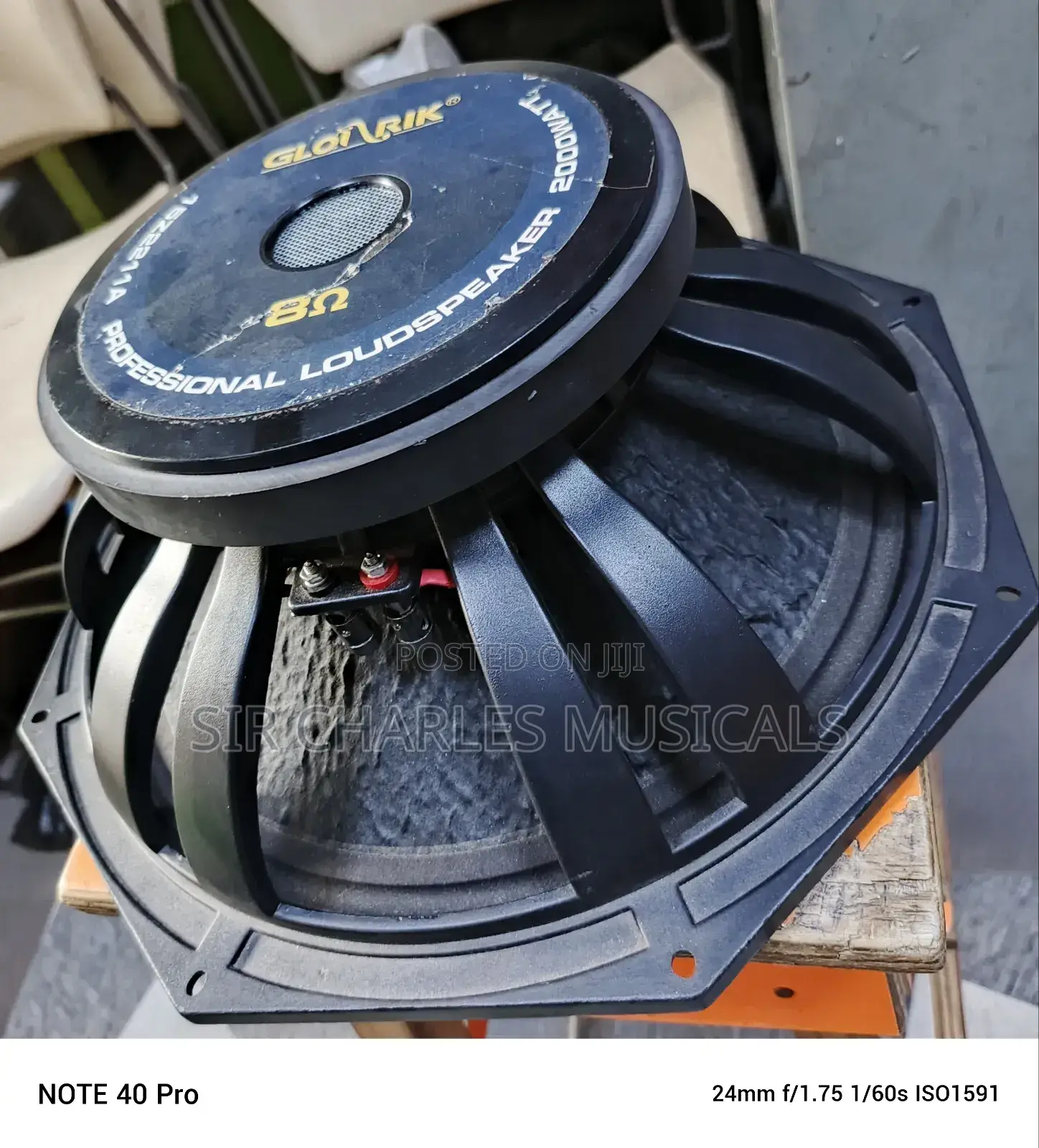 Original 18 Inches Professio Glorik Naked Speaker Big Magnet