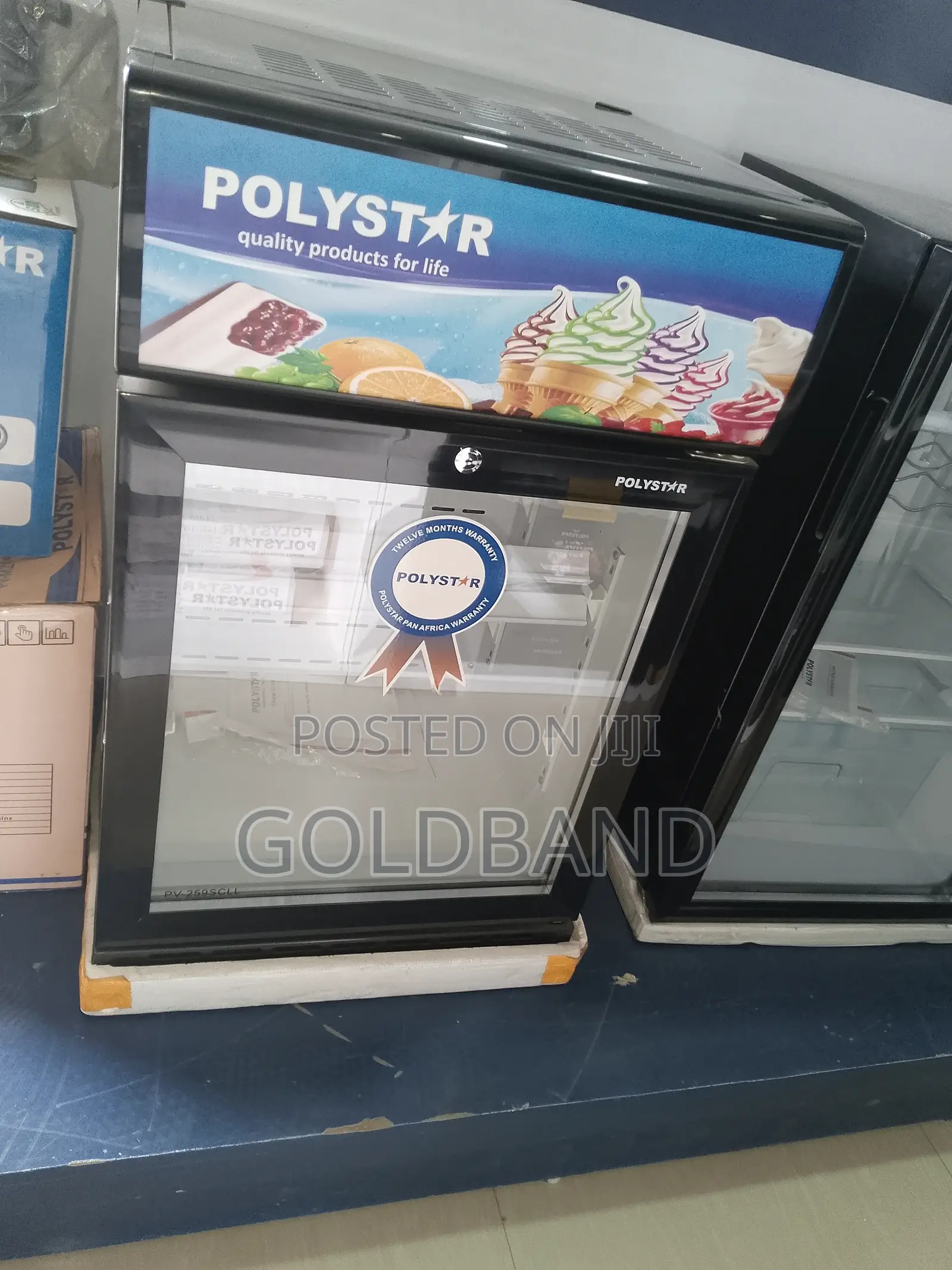 Best Affordable Polystar Upright Showcase Chiller Pv-255bcll
