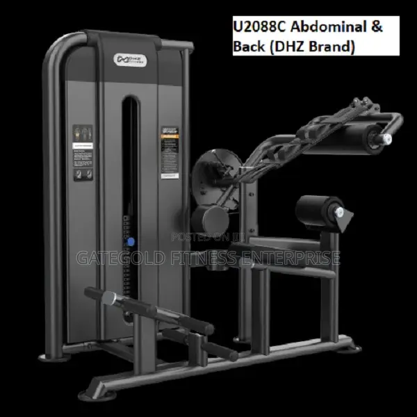 U2088c Abdominal Back (Dhz Brand)
