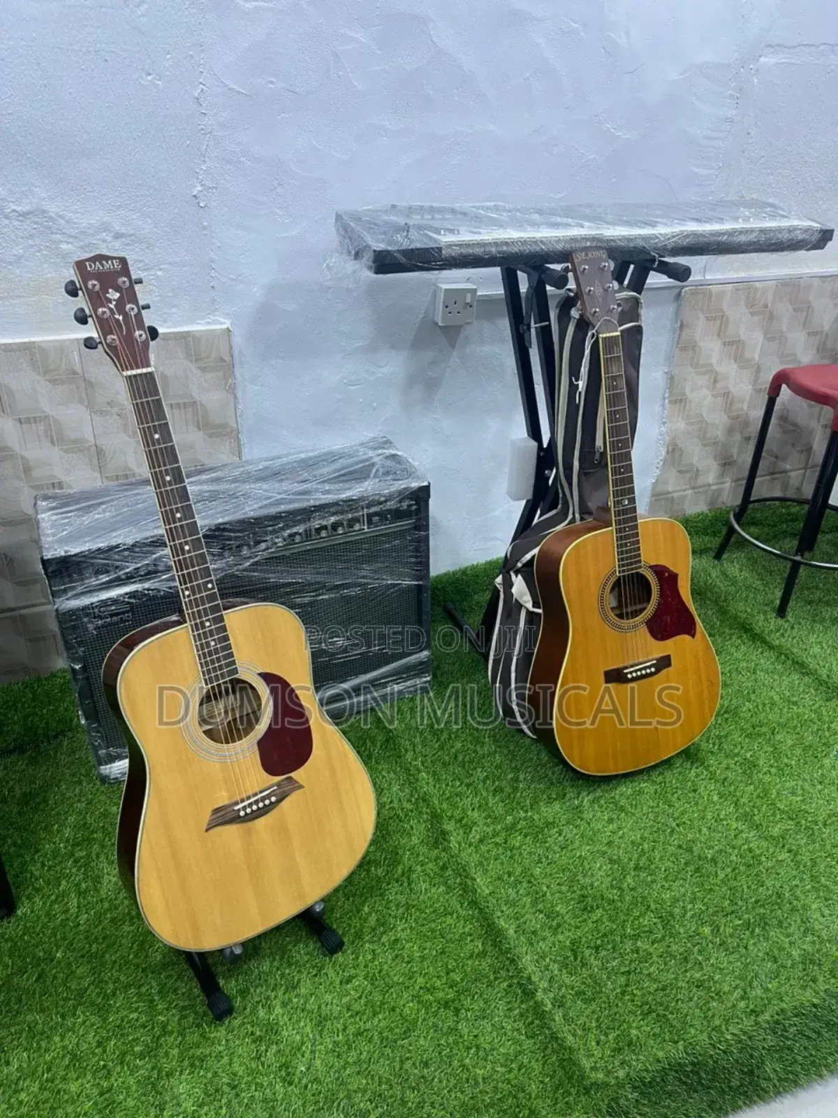 Dame Acoustic Guitar  