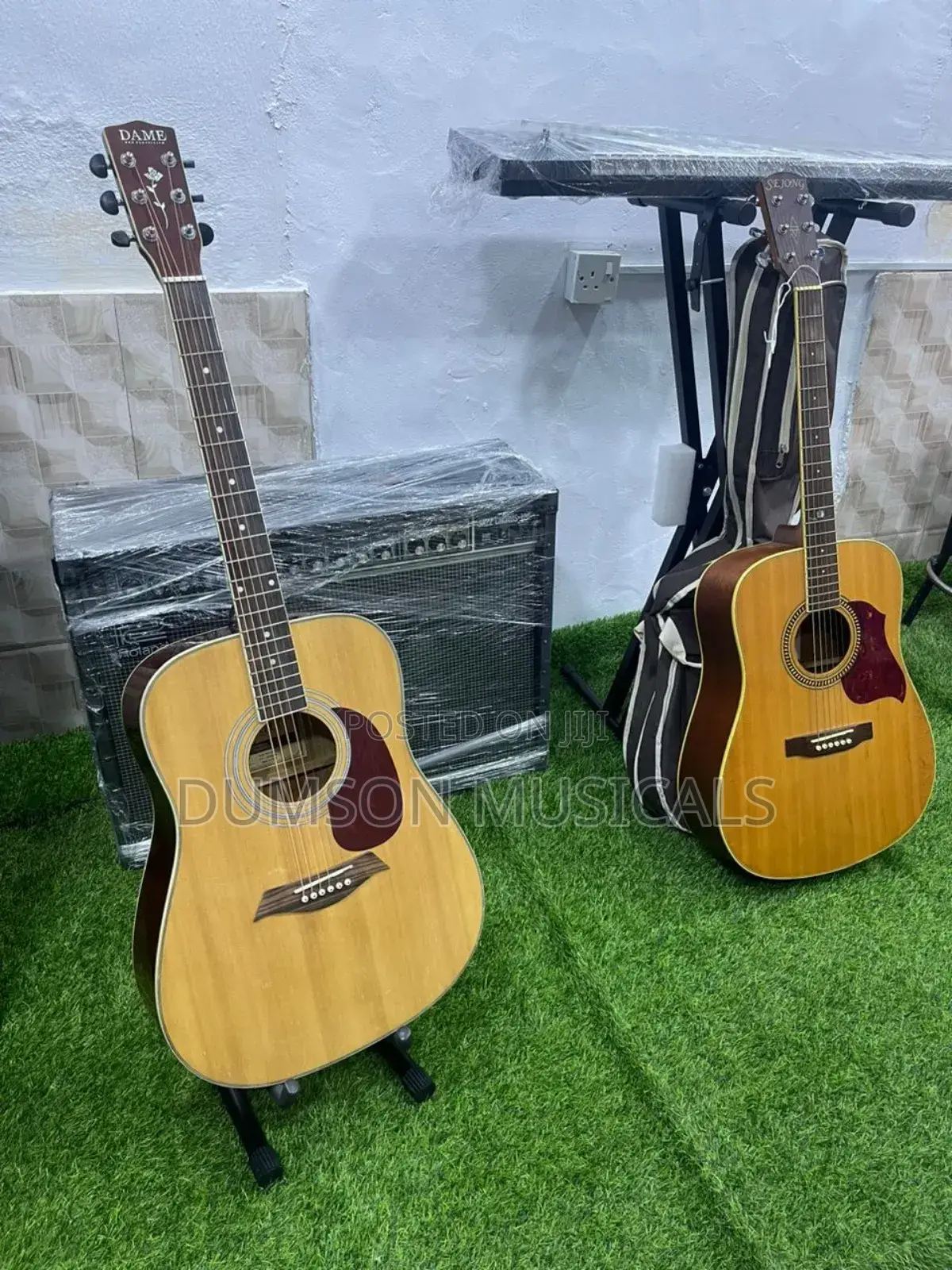 Dame Acoustic Guitar  