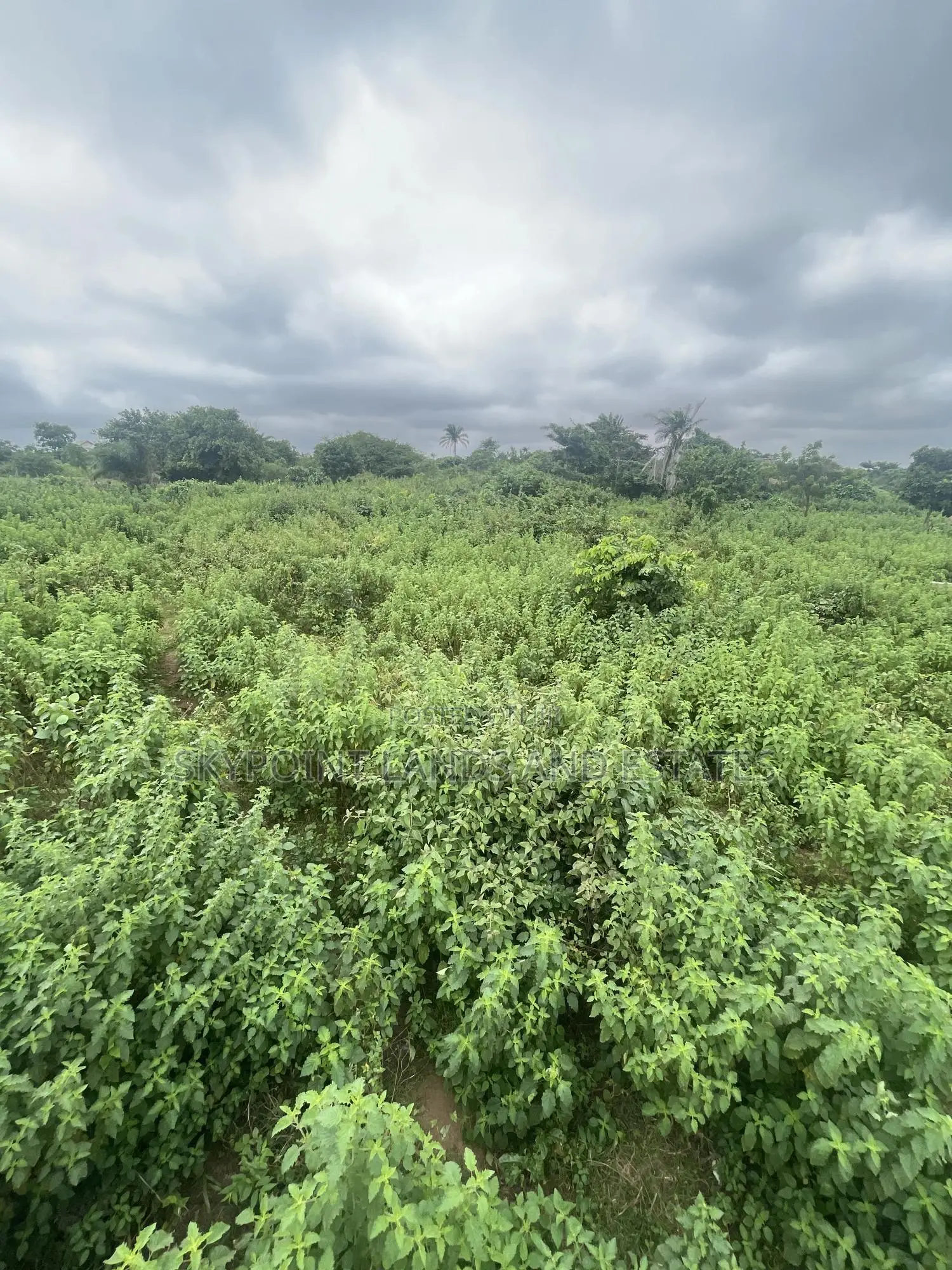 2,000 Acres of Land With Survey Plan at Komu, Itesiwaju Lga