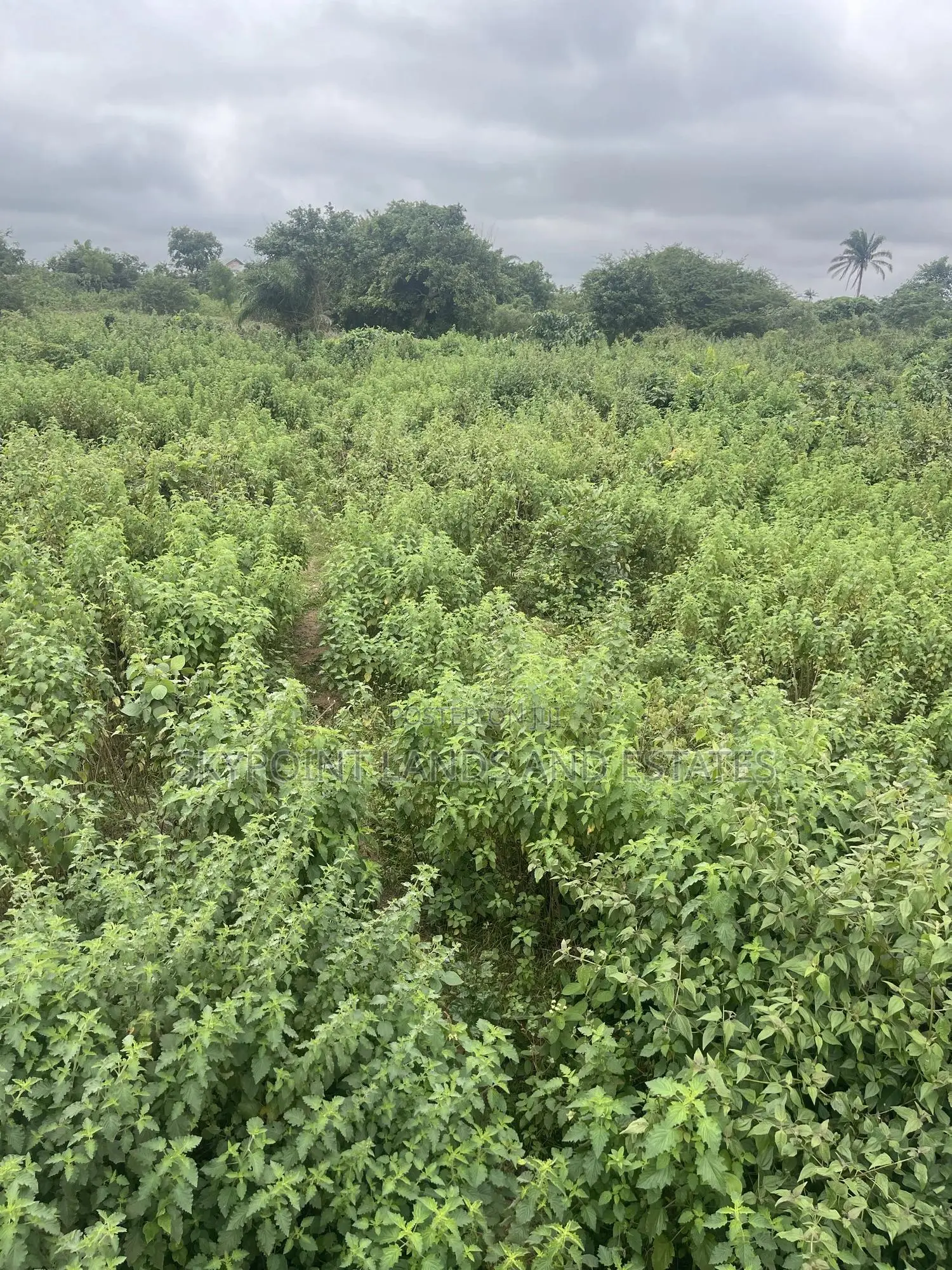2,000 Acres of Land With Survey Plan at Komu, Itesiwaju Lga