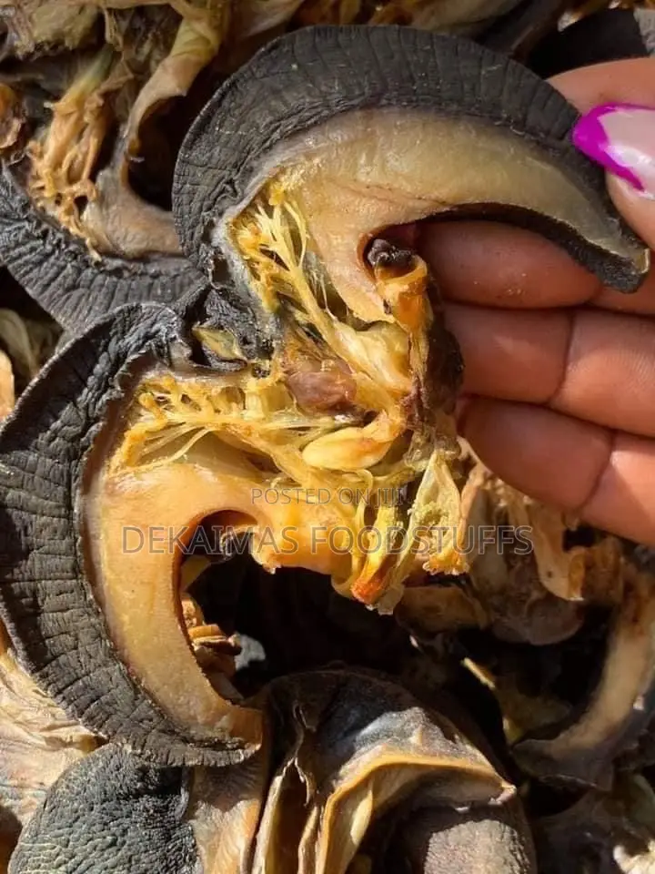 Oven Dried Snail