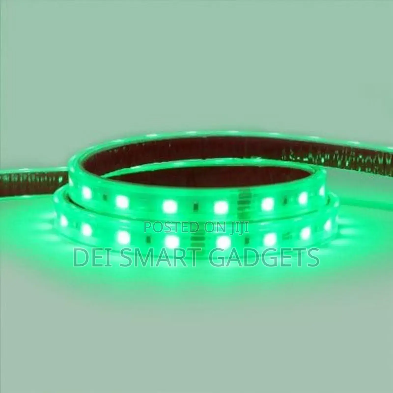 Green Color LED Strip Light(10meter)