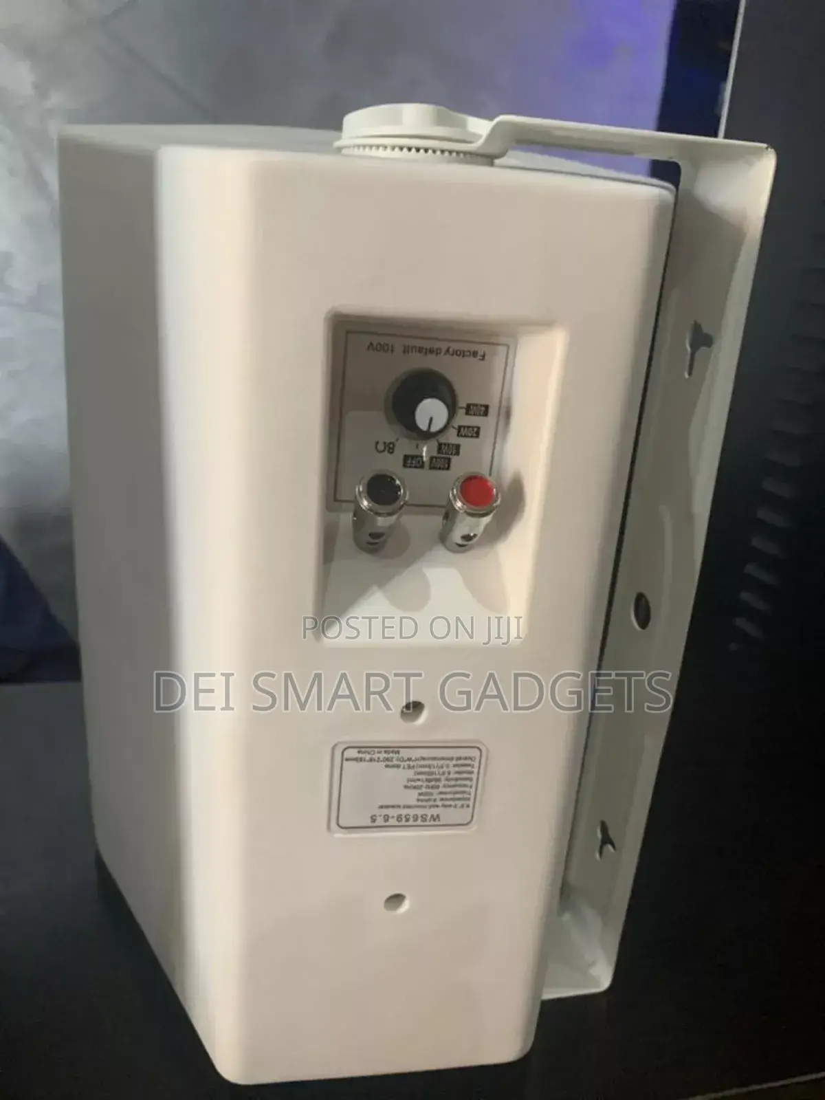 2-Way Wall Mounted Speaker (Boom)