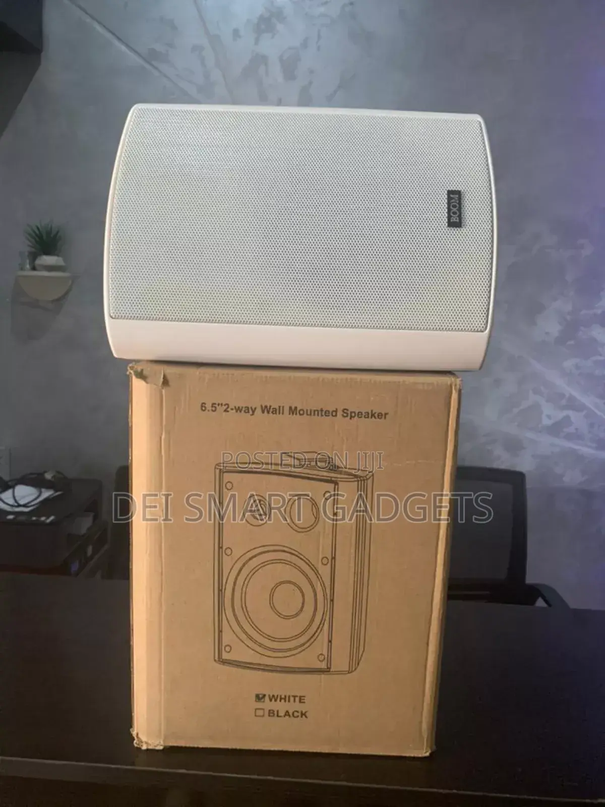 2-Way Wall Mounted Speaker (Boom)