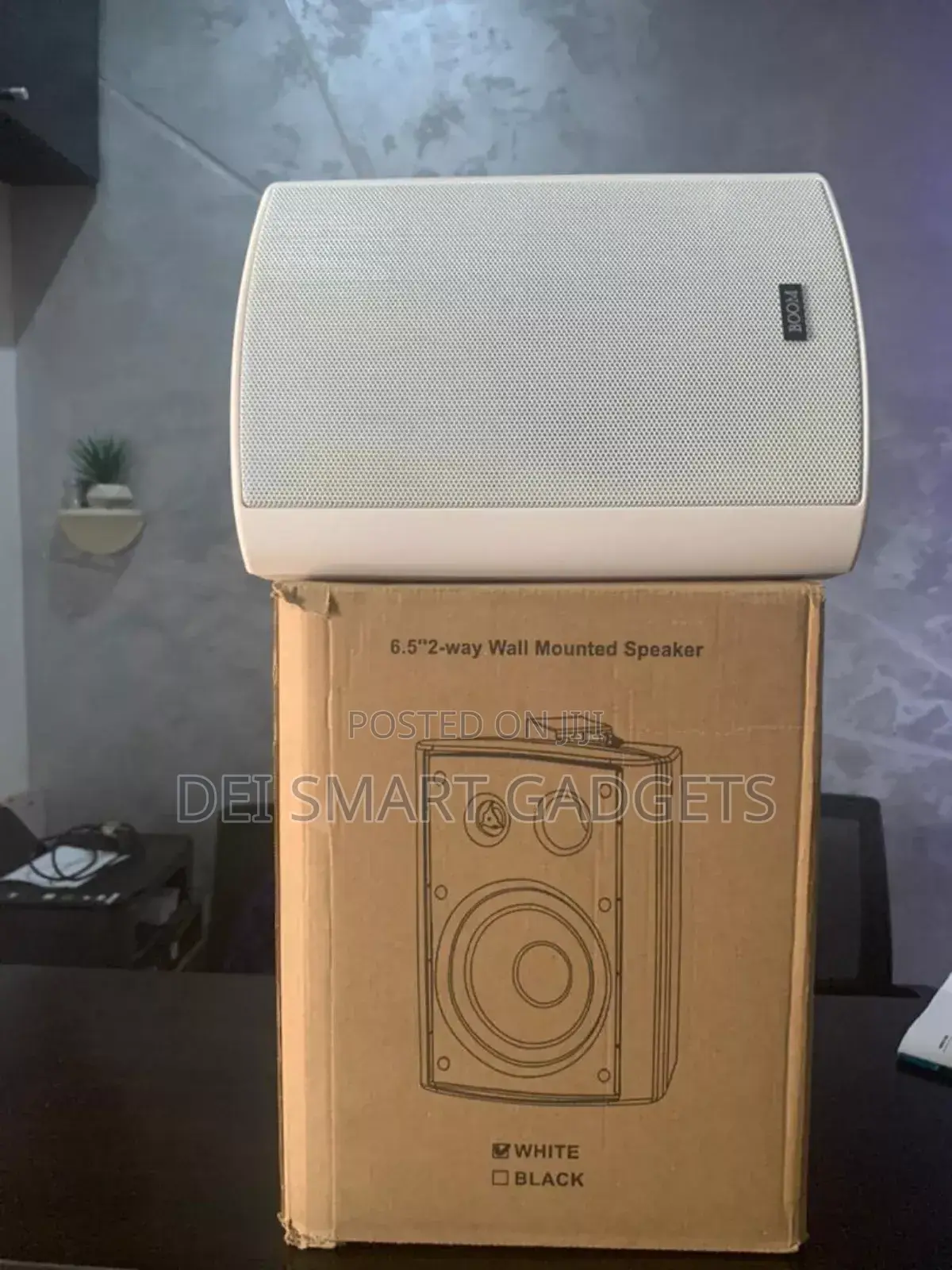 2-Way Wall Mounted Speaker (Boom)