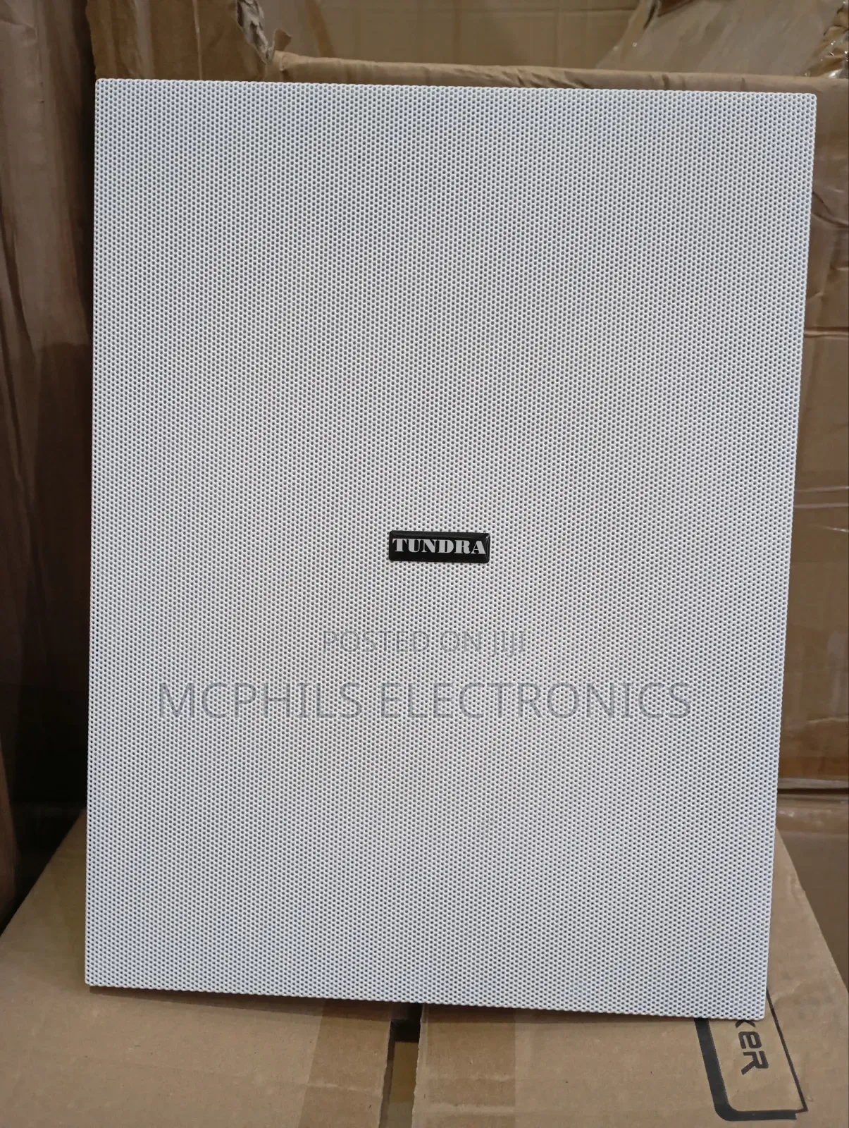 Tundra in-Wall Speaker