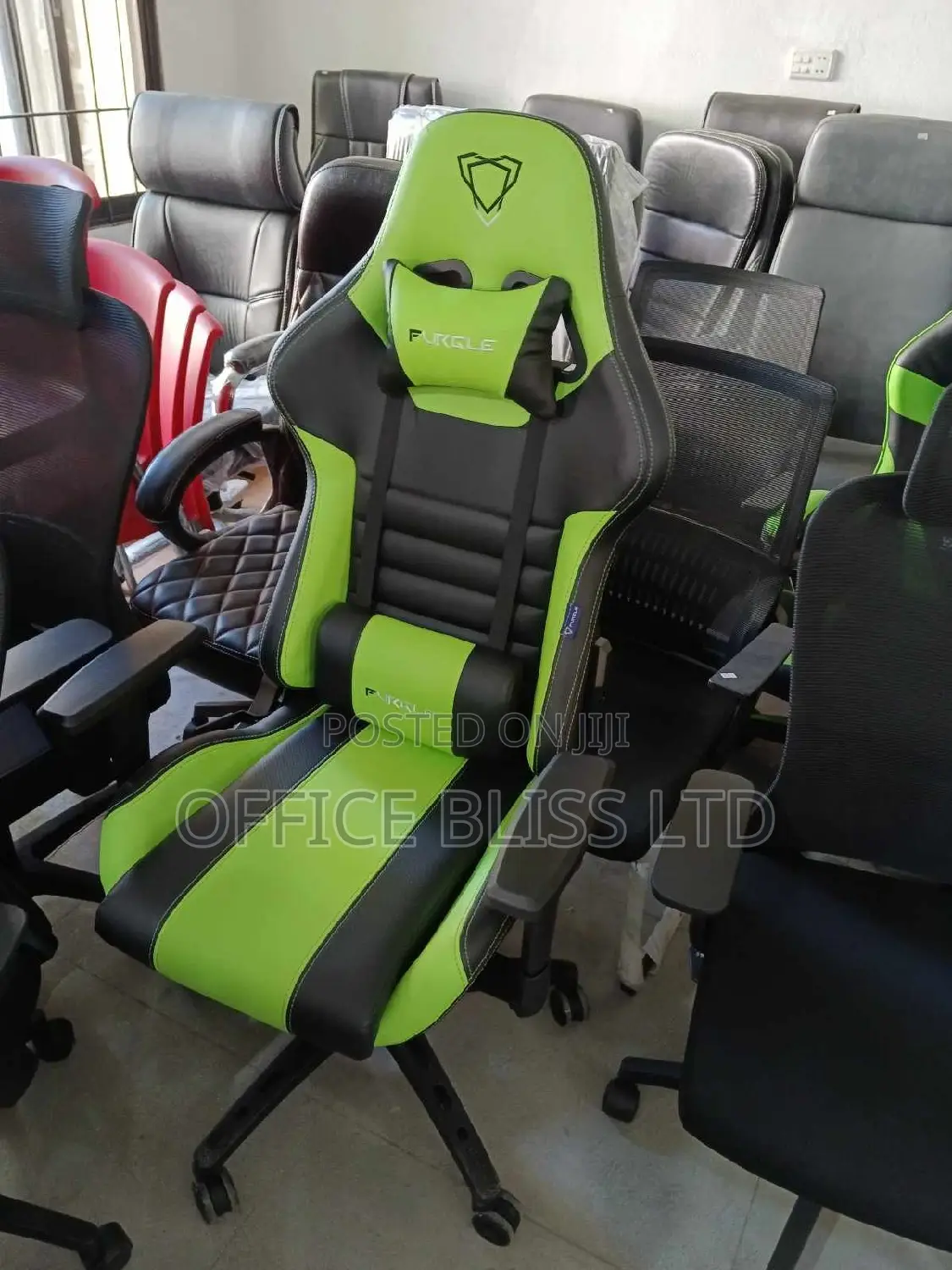 Furgle Gaming Ergonomic Chair- Green