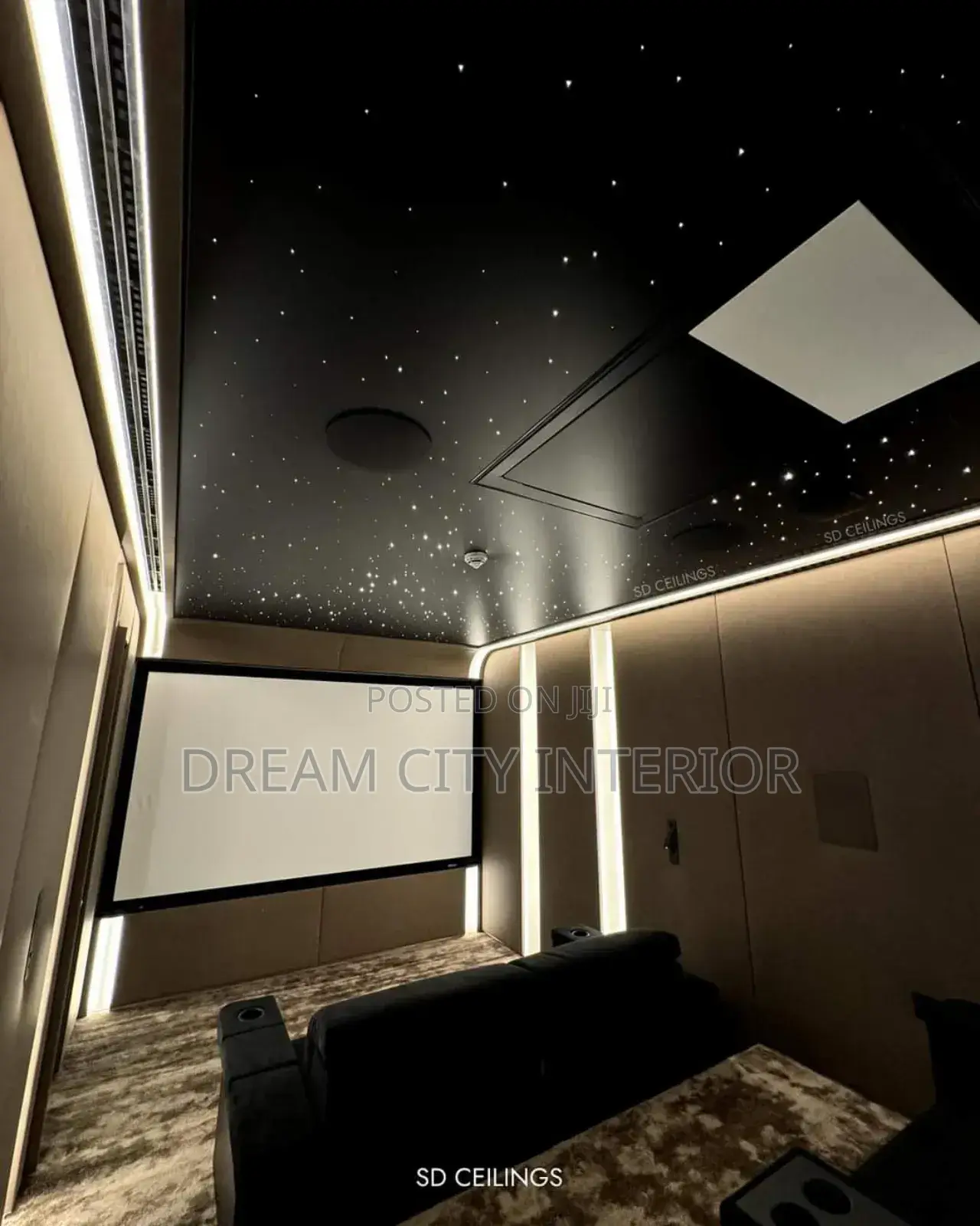 3D Black Star Ceiling Home Cinema