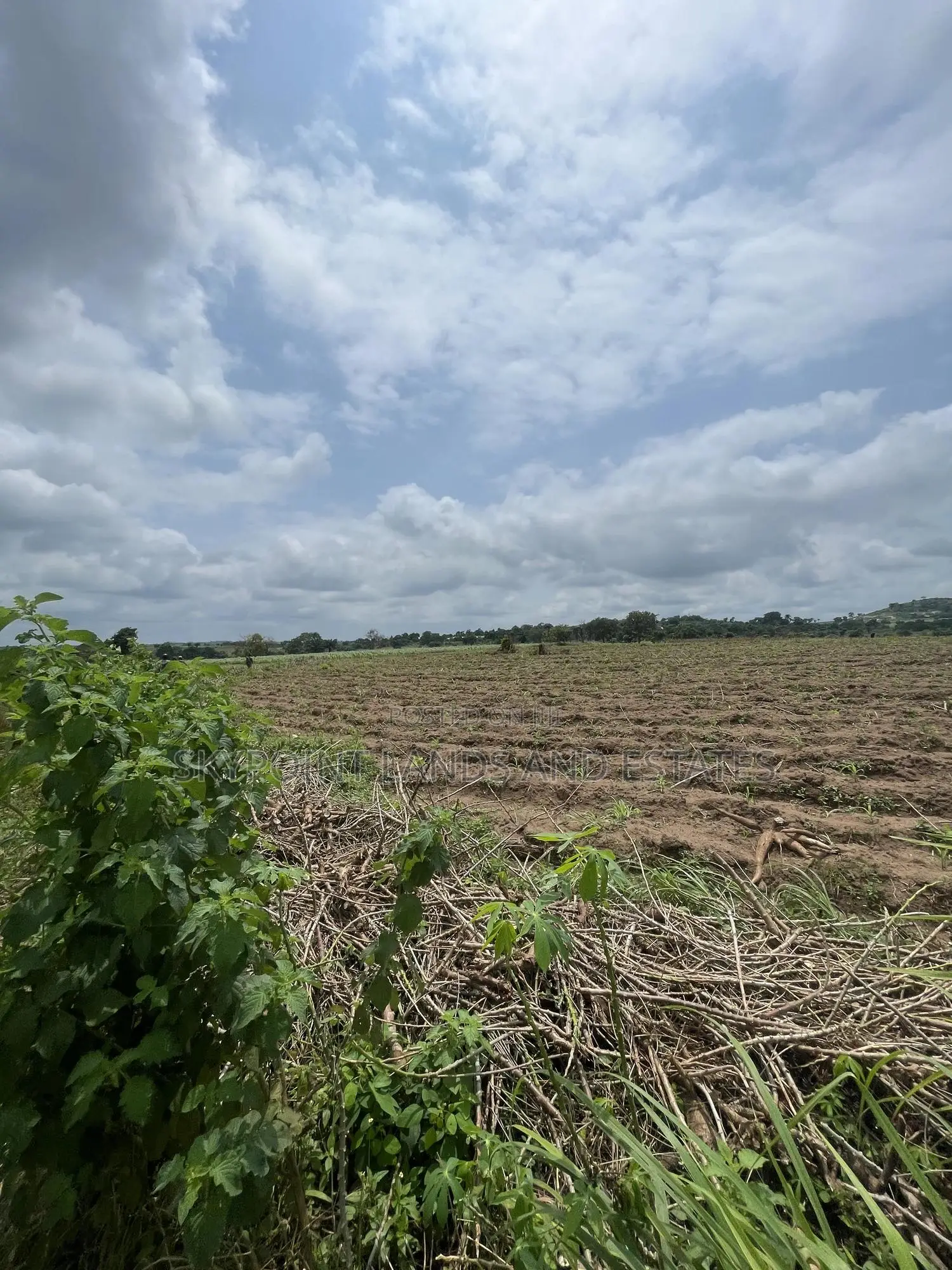 15 Acres of Farmland at Odo Ogun Iseyin
