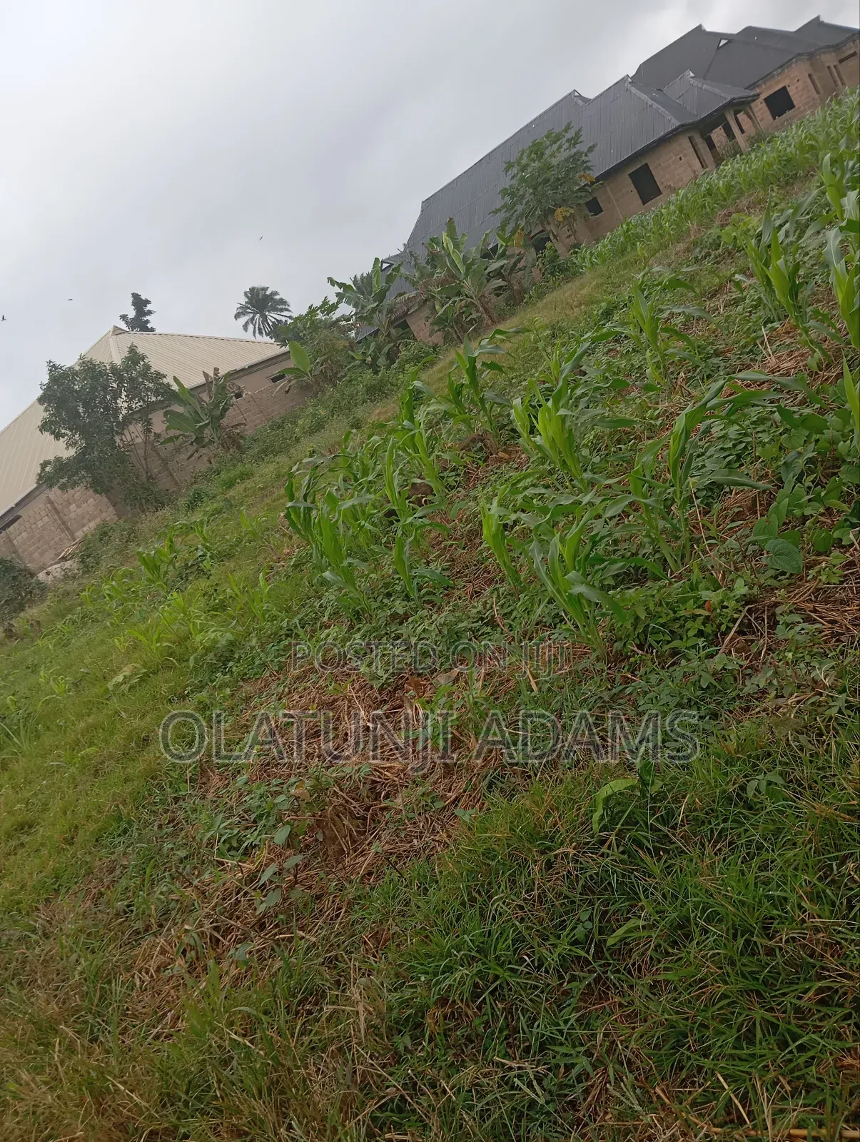 Standard 2plot of Land at Onioba Area
