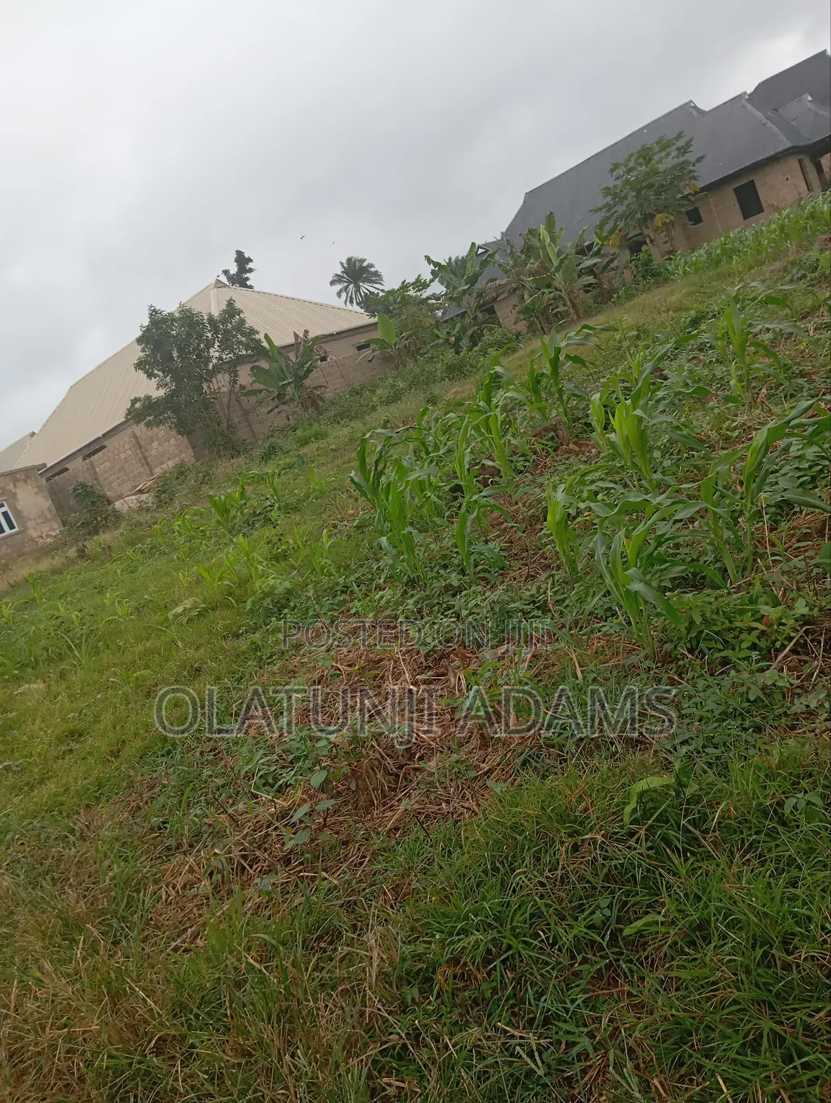 Standard 2plot of Land at Onioba Area