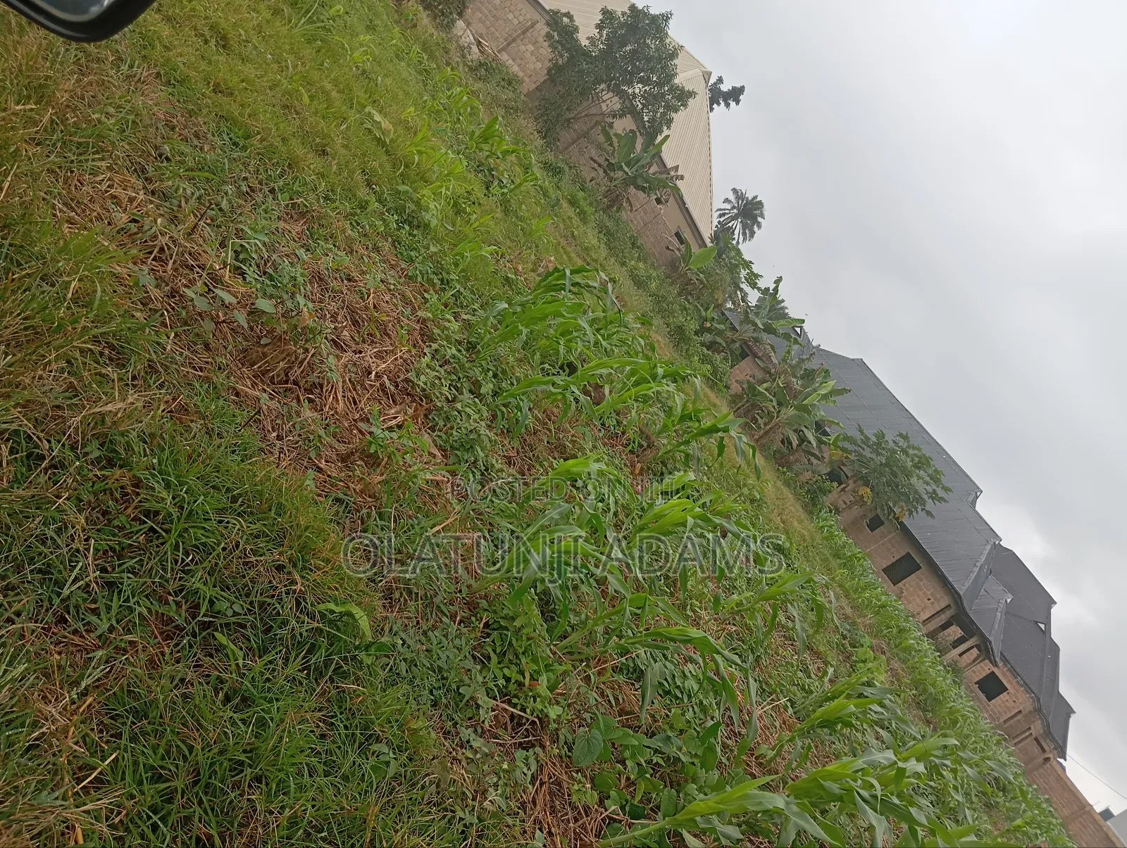 Standard 2plot of Land at Onioba Area