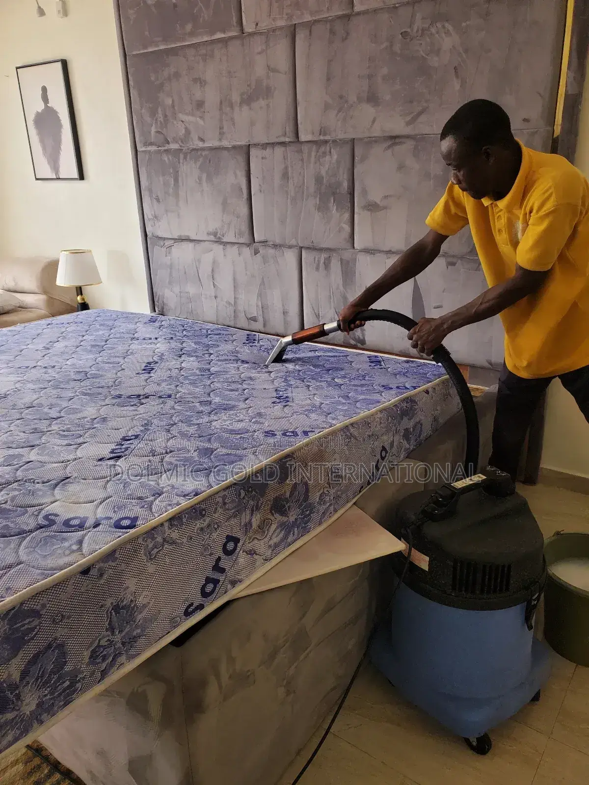 Qualified Sofa And Mattress Cleaning Company
