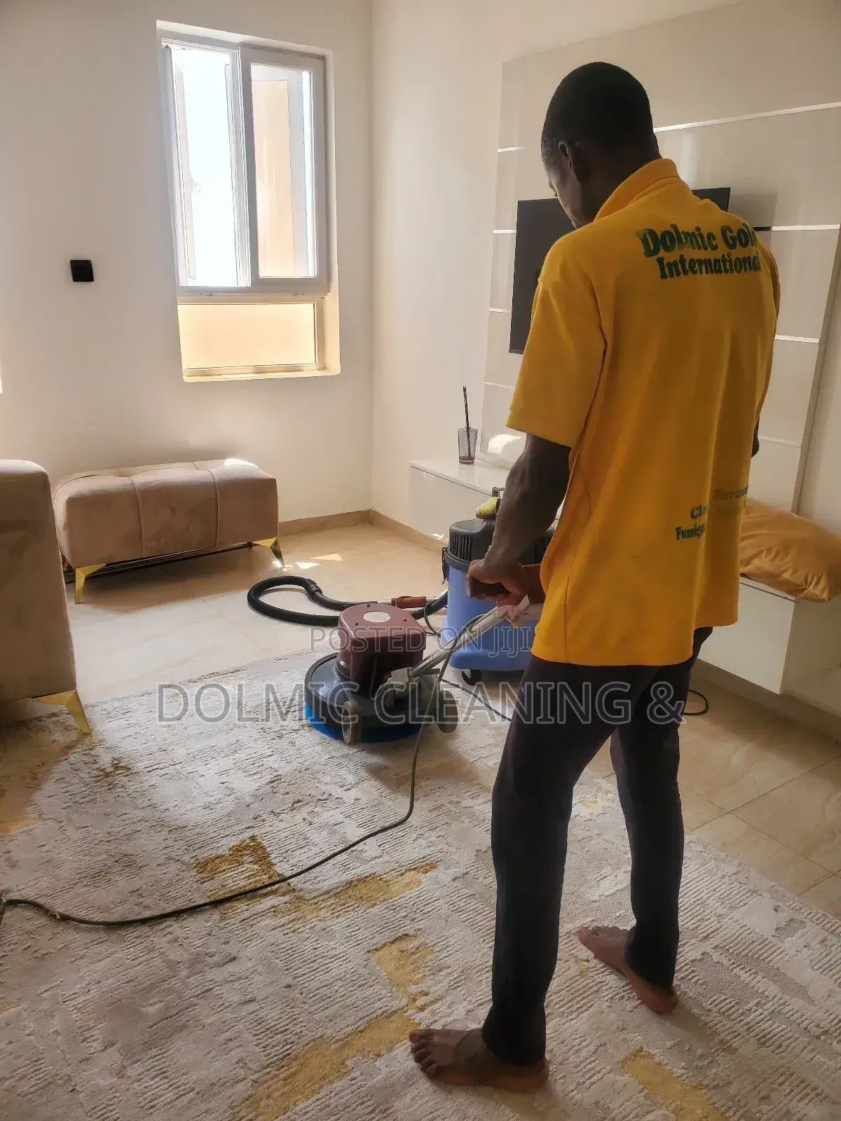 Need Professional Sofa and Rug Cleaners?