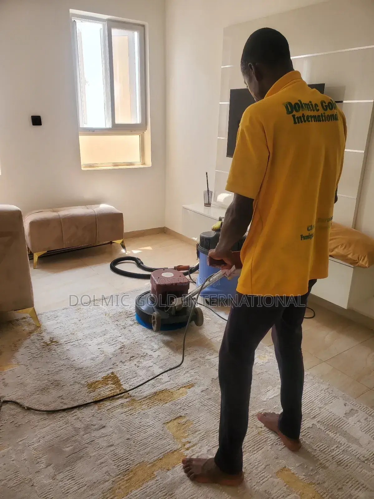 Need Professional Sofa and Rug Cleaners?