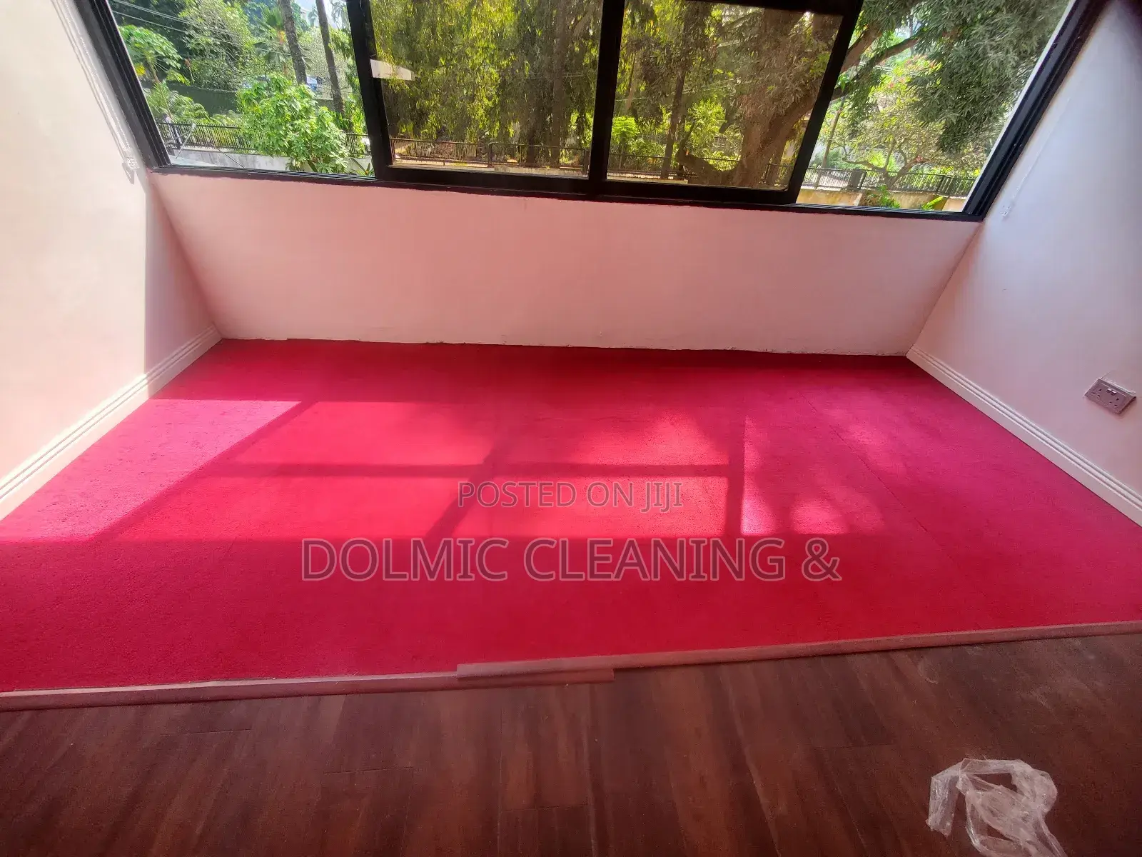 Advance Modern Carpet Cleaning Company