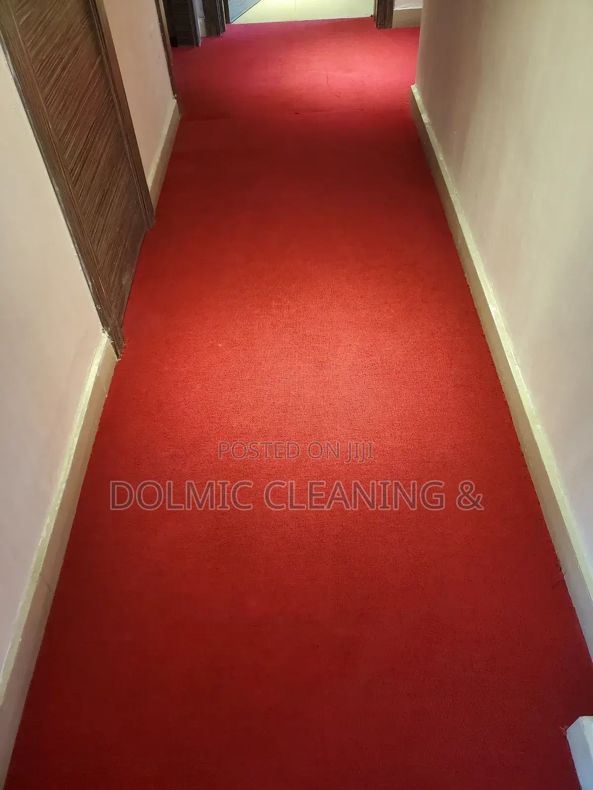 Advance Modern Carpet Cleaning Company