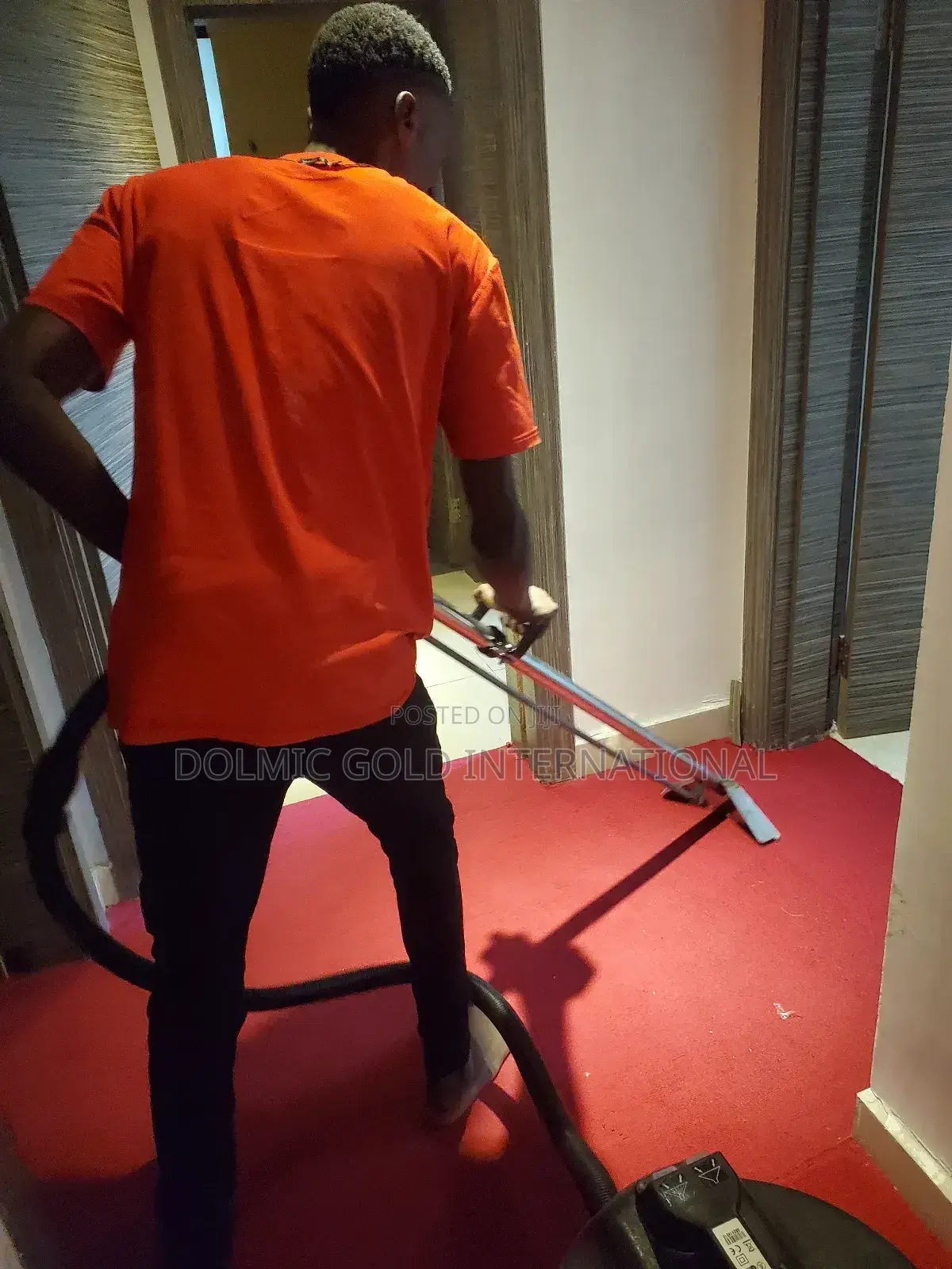 Best Advance Carpet and Rug Cleaners