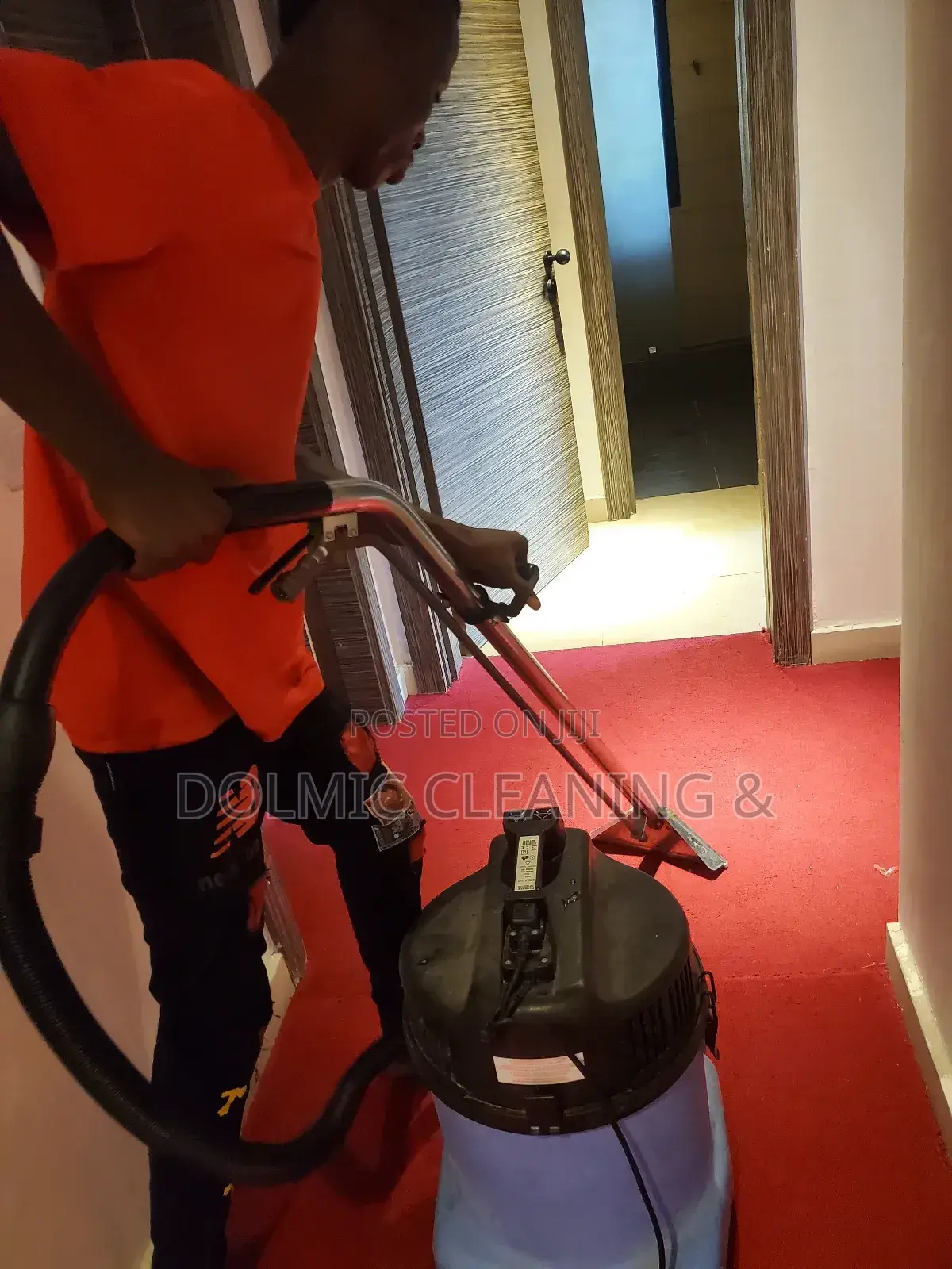 Best Advance Carpet and Rug Cleaners