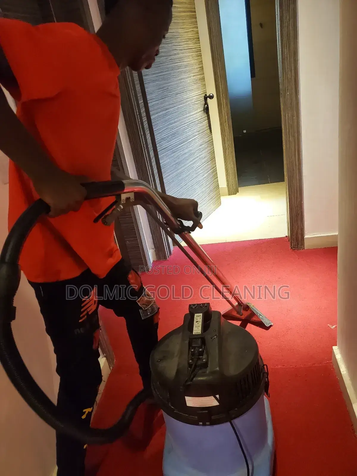 Best Advance Carpet and Rug Cleaners