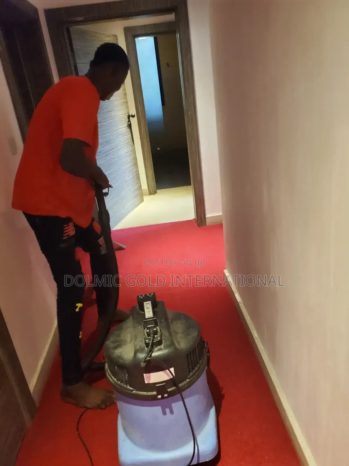 Best Advance Carpet and Rug Cleaners