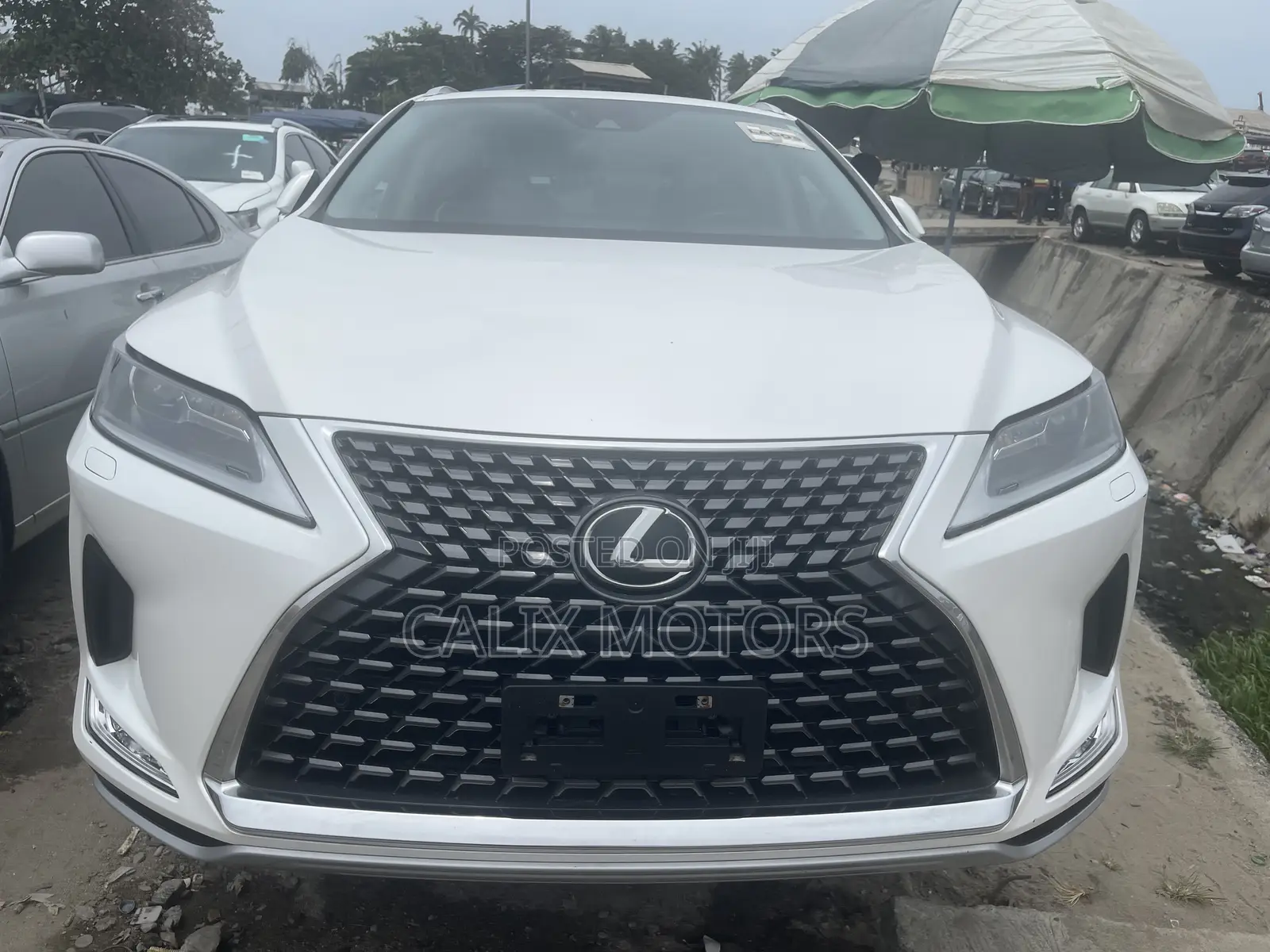 Lexus RX 2021 White