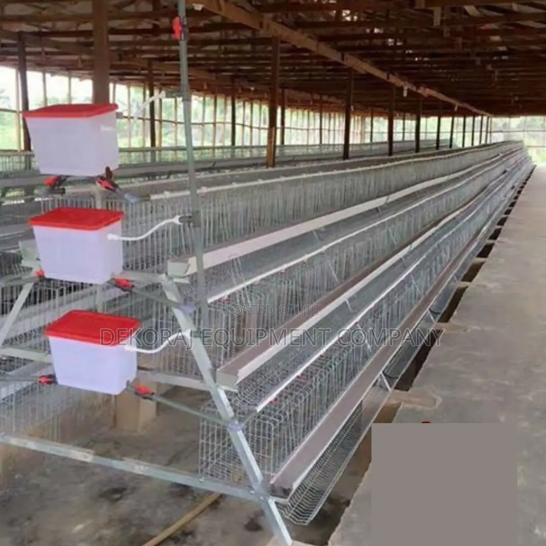 120-bird Layer Cage With Superior Ventilation Easy Mainten