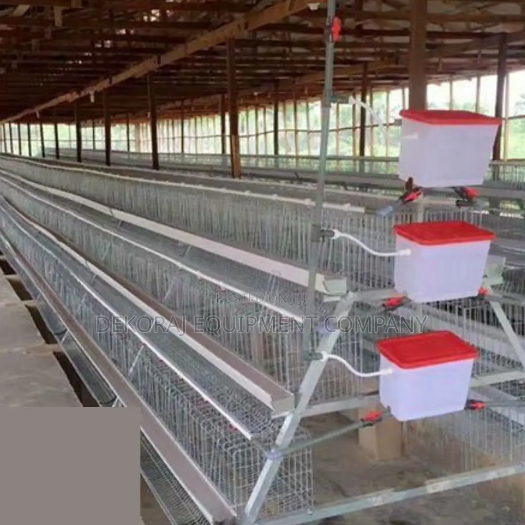 Top Performance 120-bird Layer Cage With Enhanced Durability