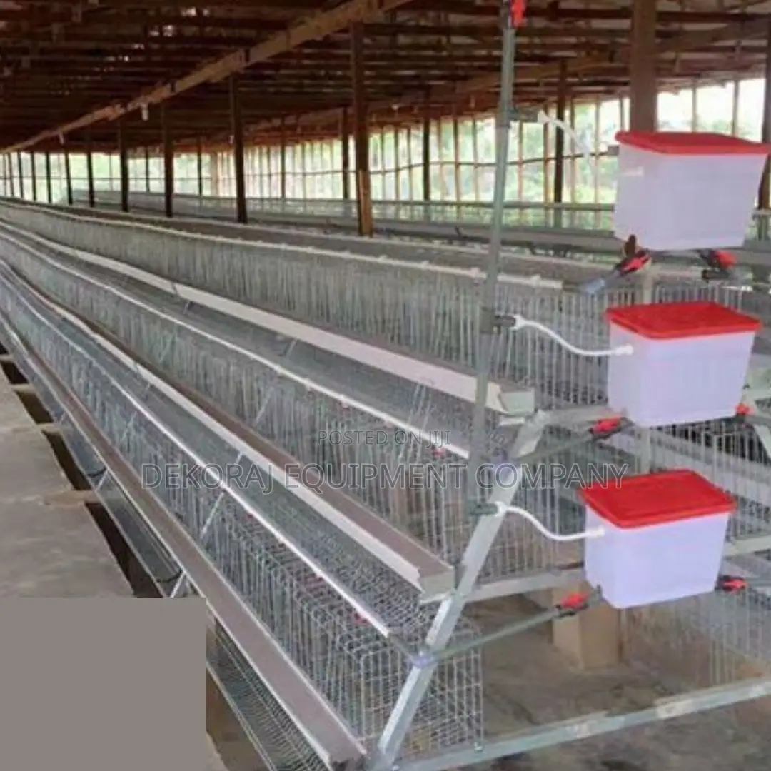 Secure Sturdy 120-bird Layer Cage For Commercial Use