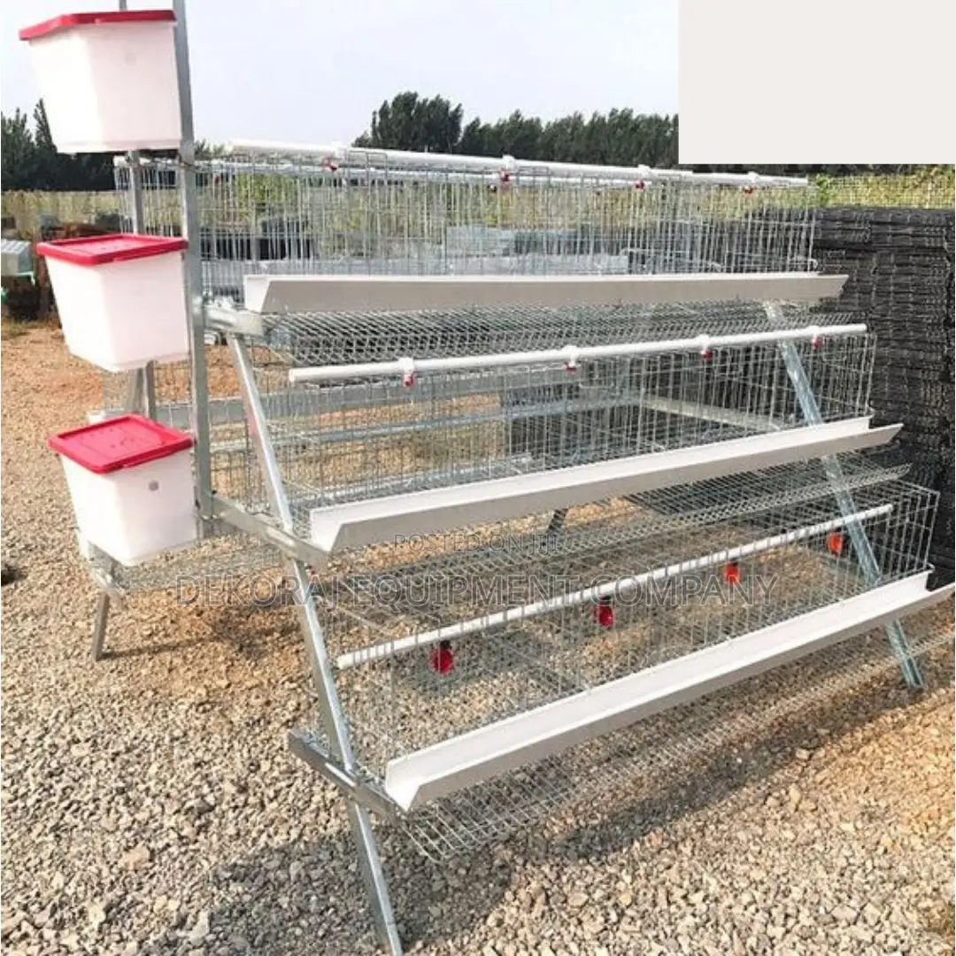 Best Value 120-bird Capacity Layer Cage For Sale