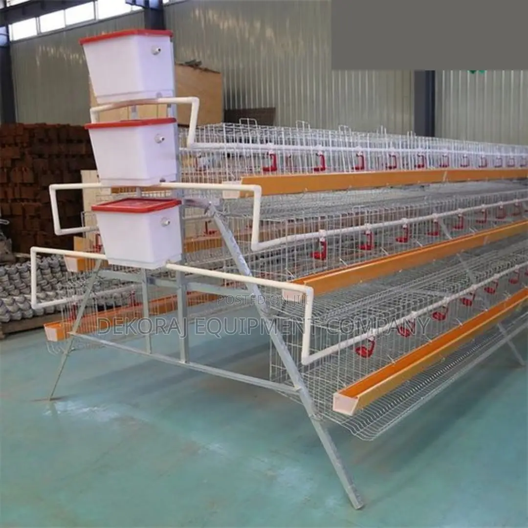 Affordable 120-bird Capacity Layer Cage For Maximum Egg Prod