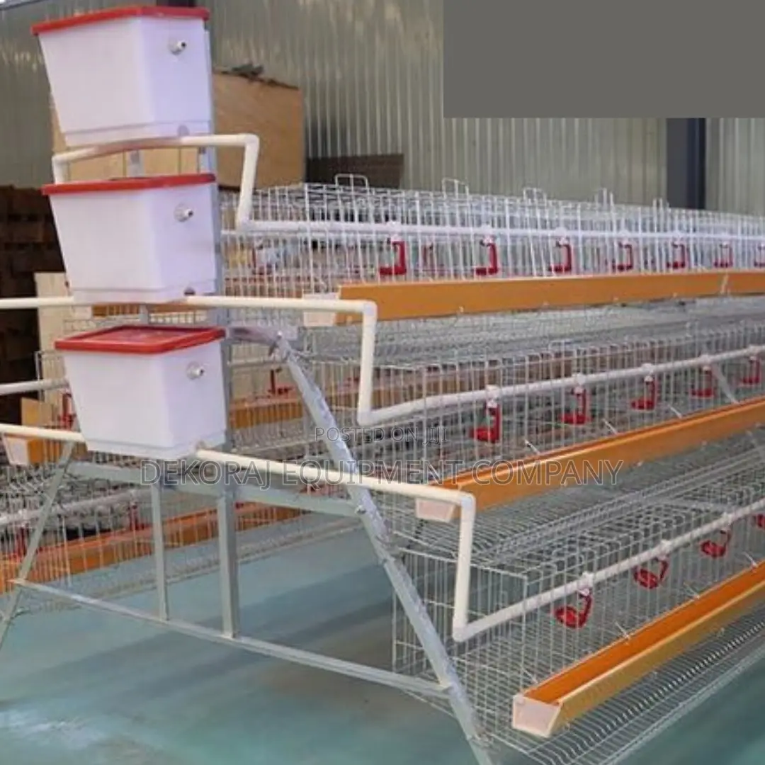 120-bird Layer Cage With Robust Design For Egg Production