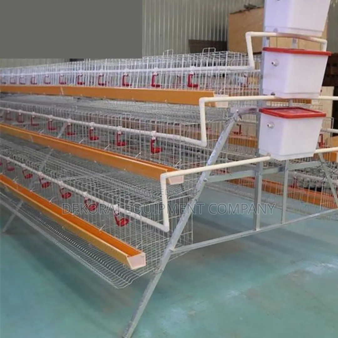 120-bird Layer Cage With Superior Durability Easy Maintena