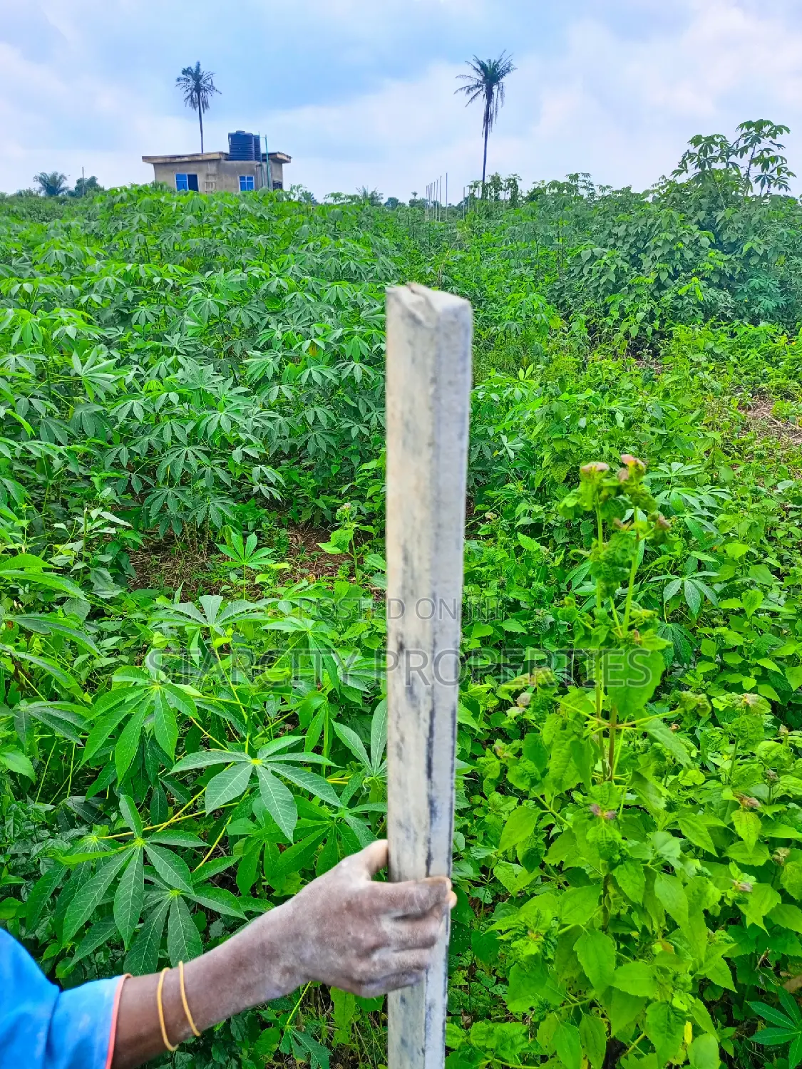 Acres of Land for Sale in Obafe Isiun Abeokuta Express Ogun