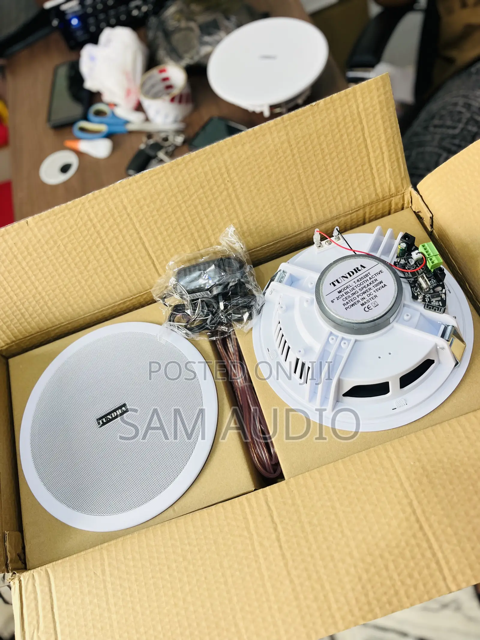 Two in One 100watts Ceiling Speakers