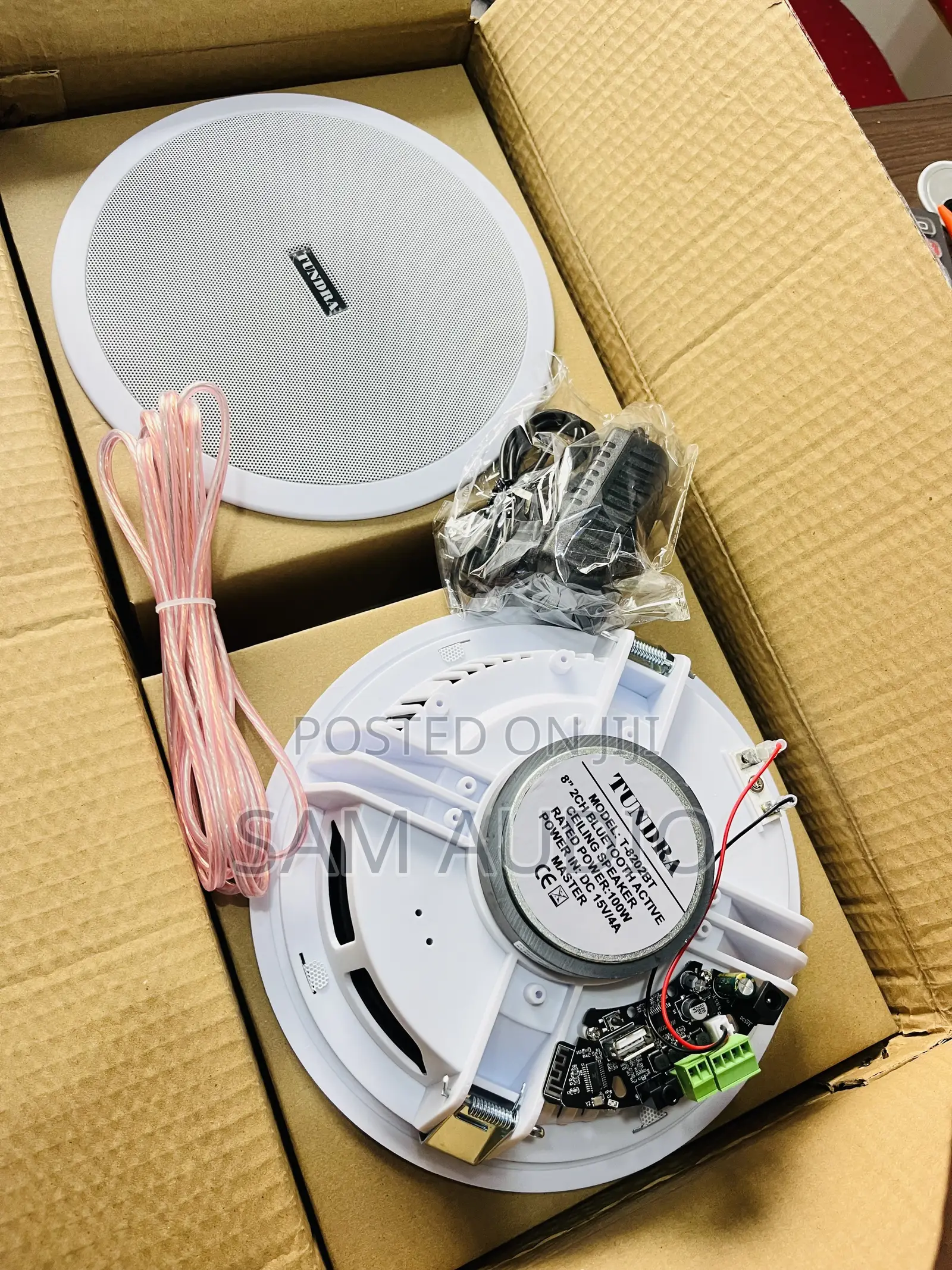Two in One 100watts Ceiling Speakers