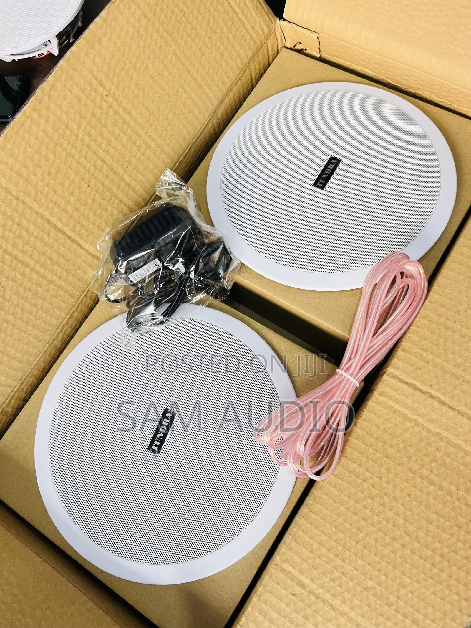Two in One 100watts Ceiling Speakers
