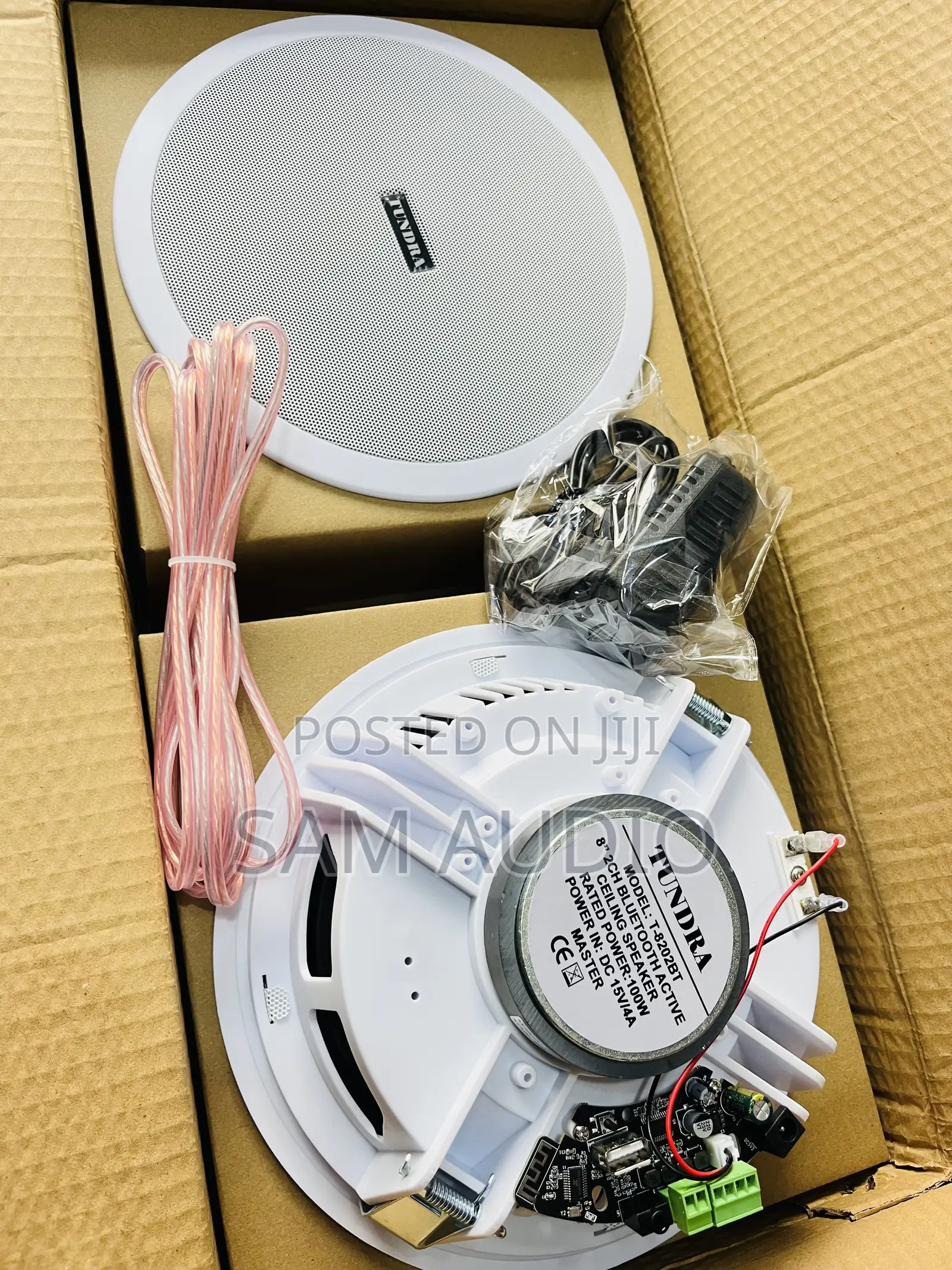 Two in One 100watts Ceiling Speakers