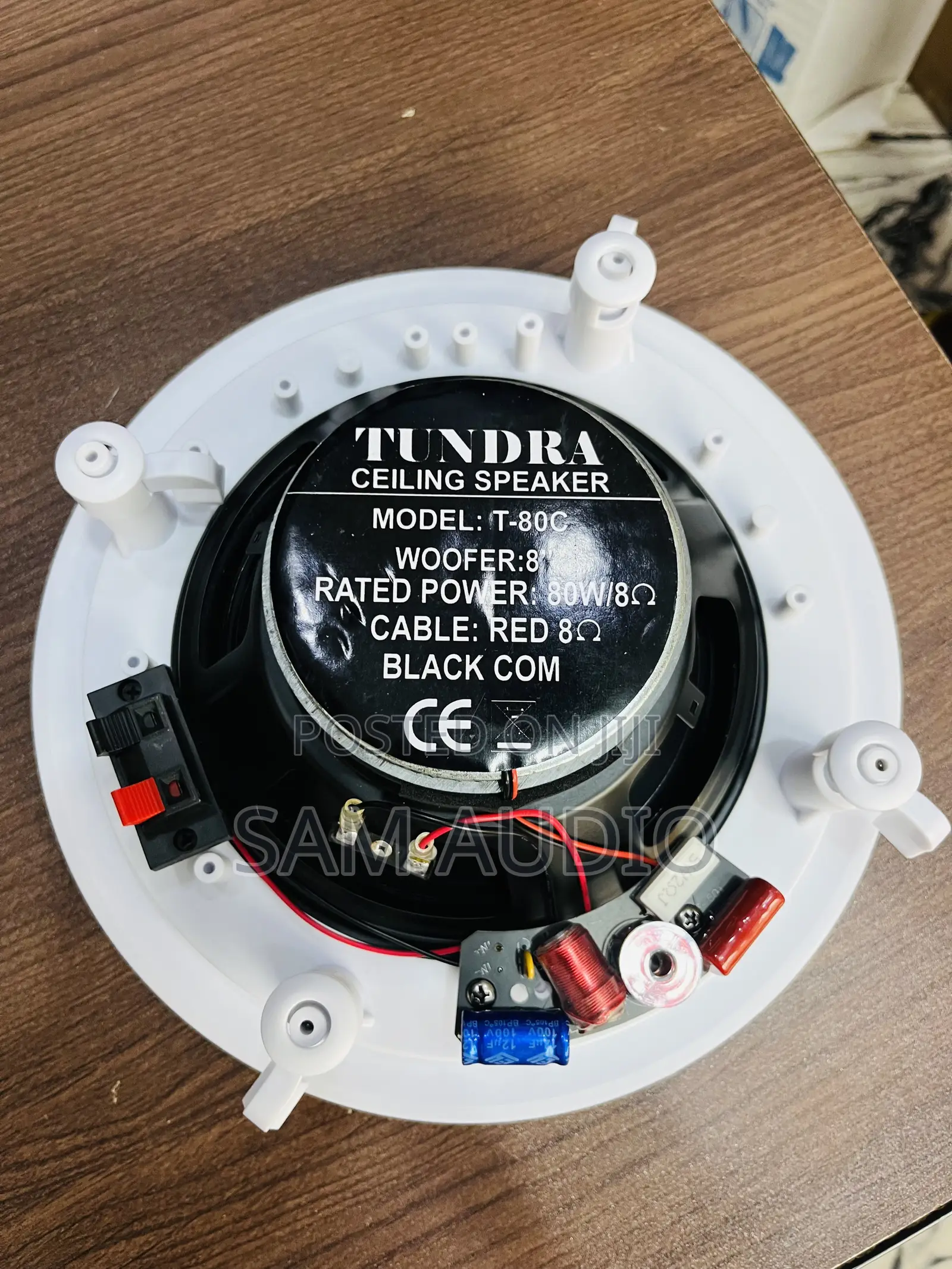 80watts Ceiling Speaker Tundra
