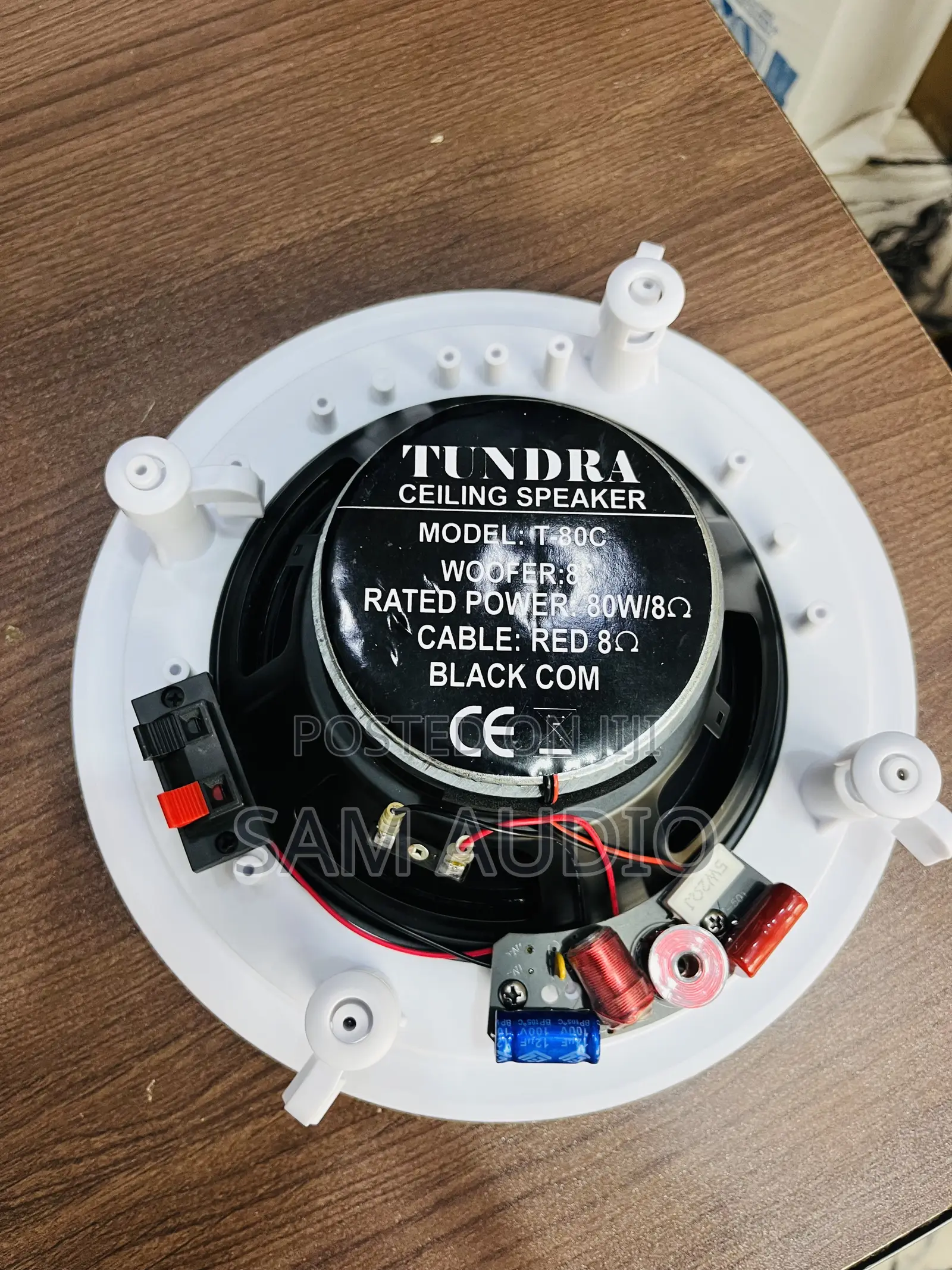 80watts Ceiling Speaker Tundra