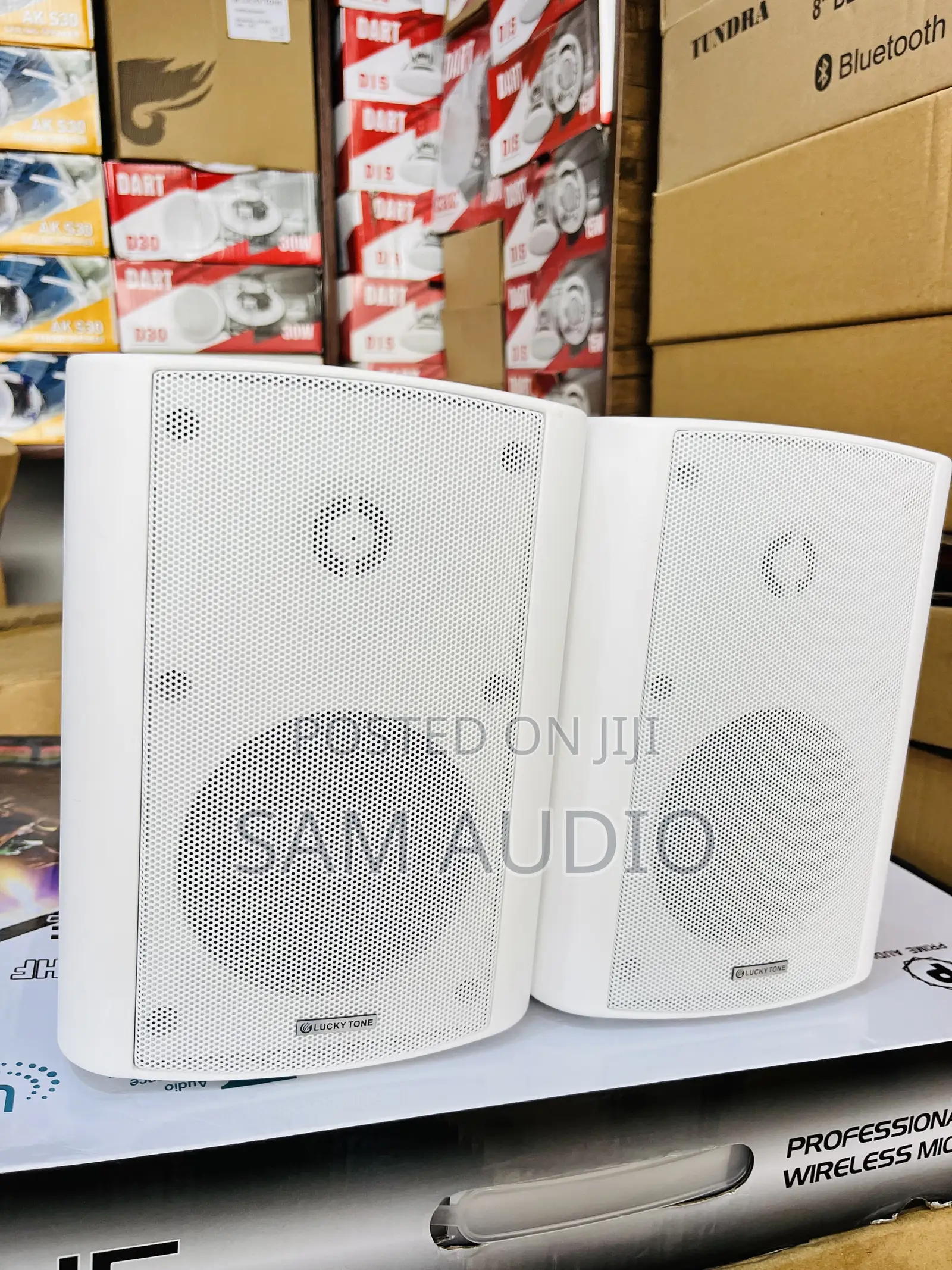Lucky Tone Outdoor Speaker