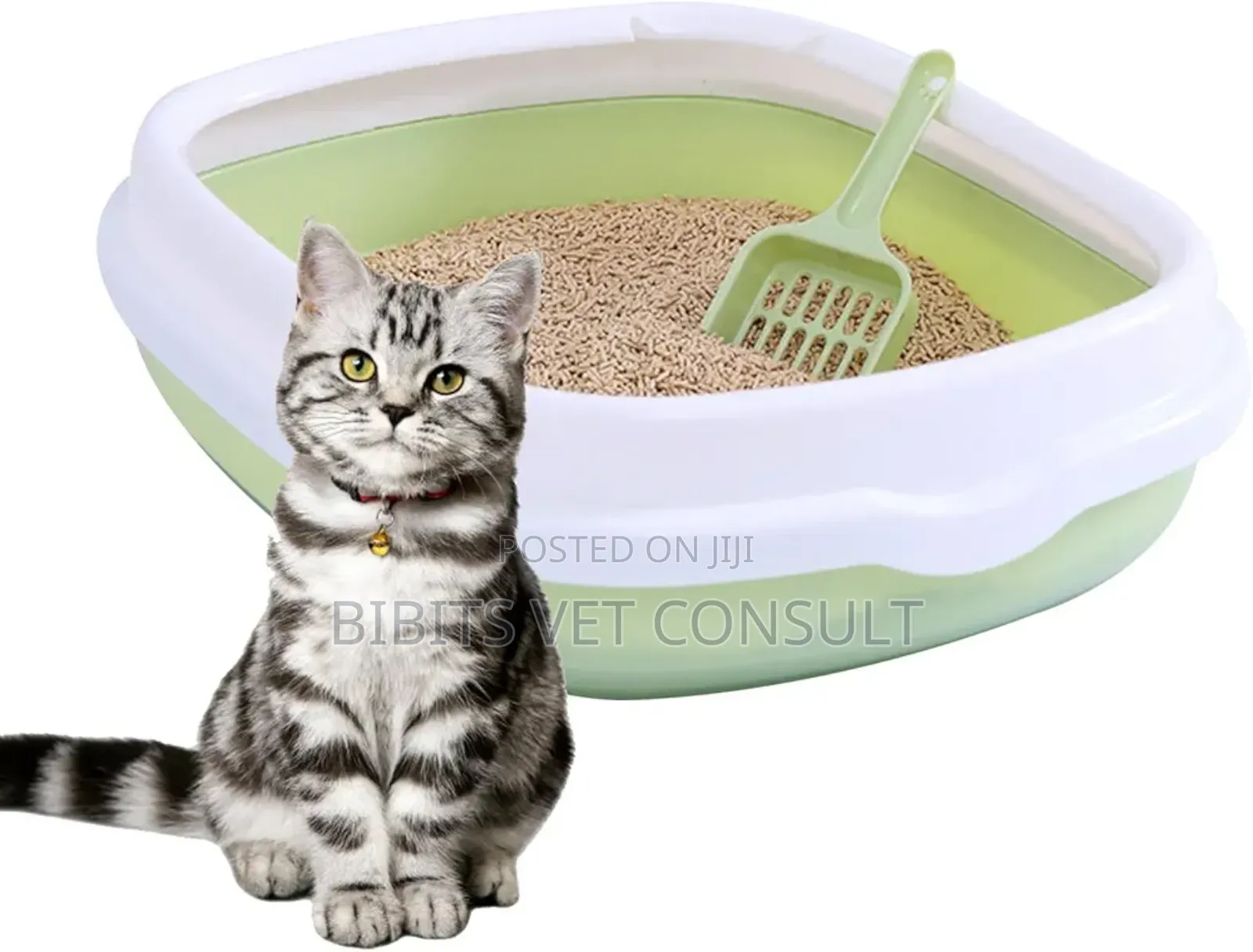 Low Border Cat Litter Box