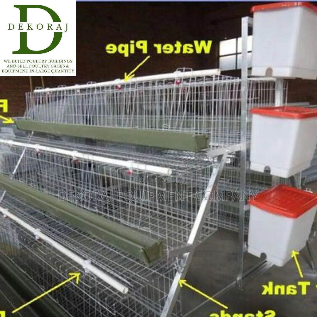 96 Imported Broiler Cages With Automatic Drinkers