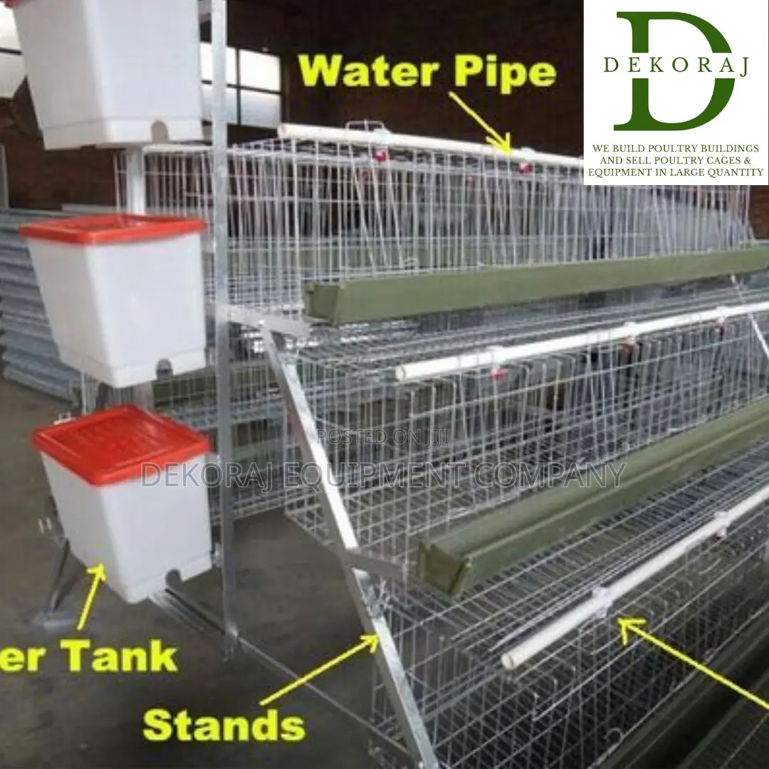 120birds Layers Cage 25yrs Warranty, Increase Roi By 40%