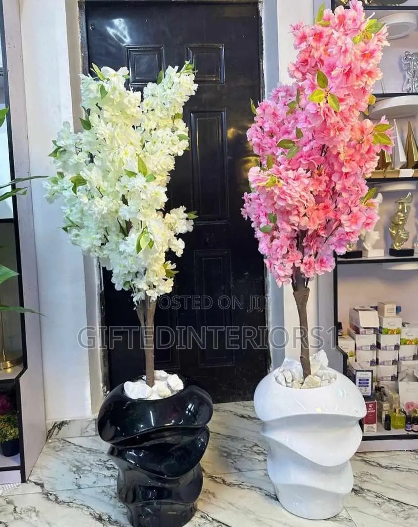 Medium Case With Plant